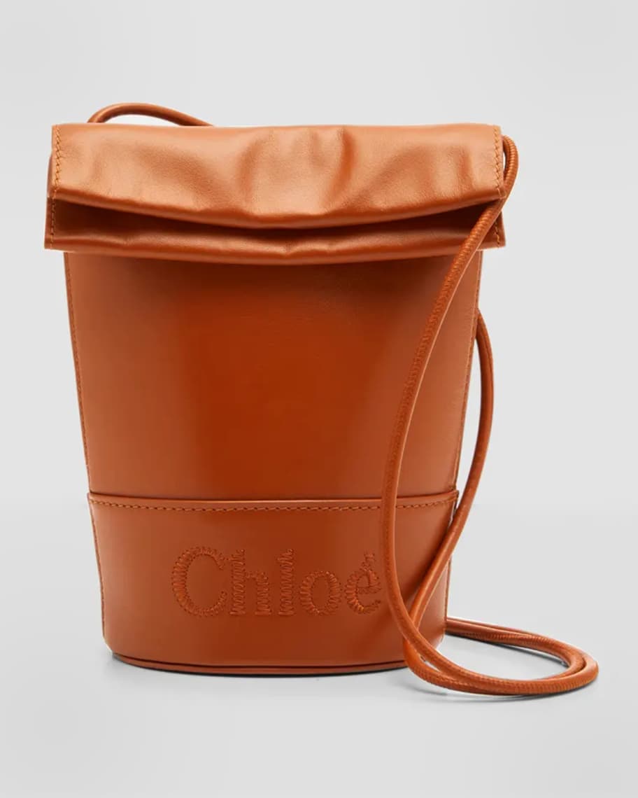 Sense Small Leather Bucket Bag in Beige - Chloe