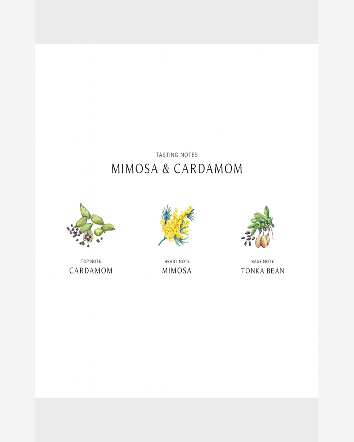 Jo Malone London Mimosa & Cardamom Home Candle, 7 Oz.