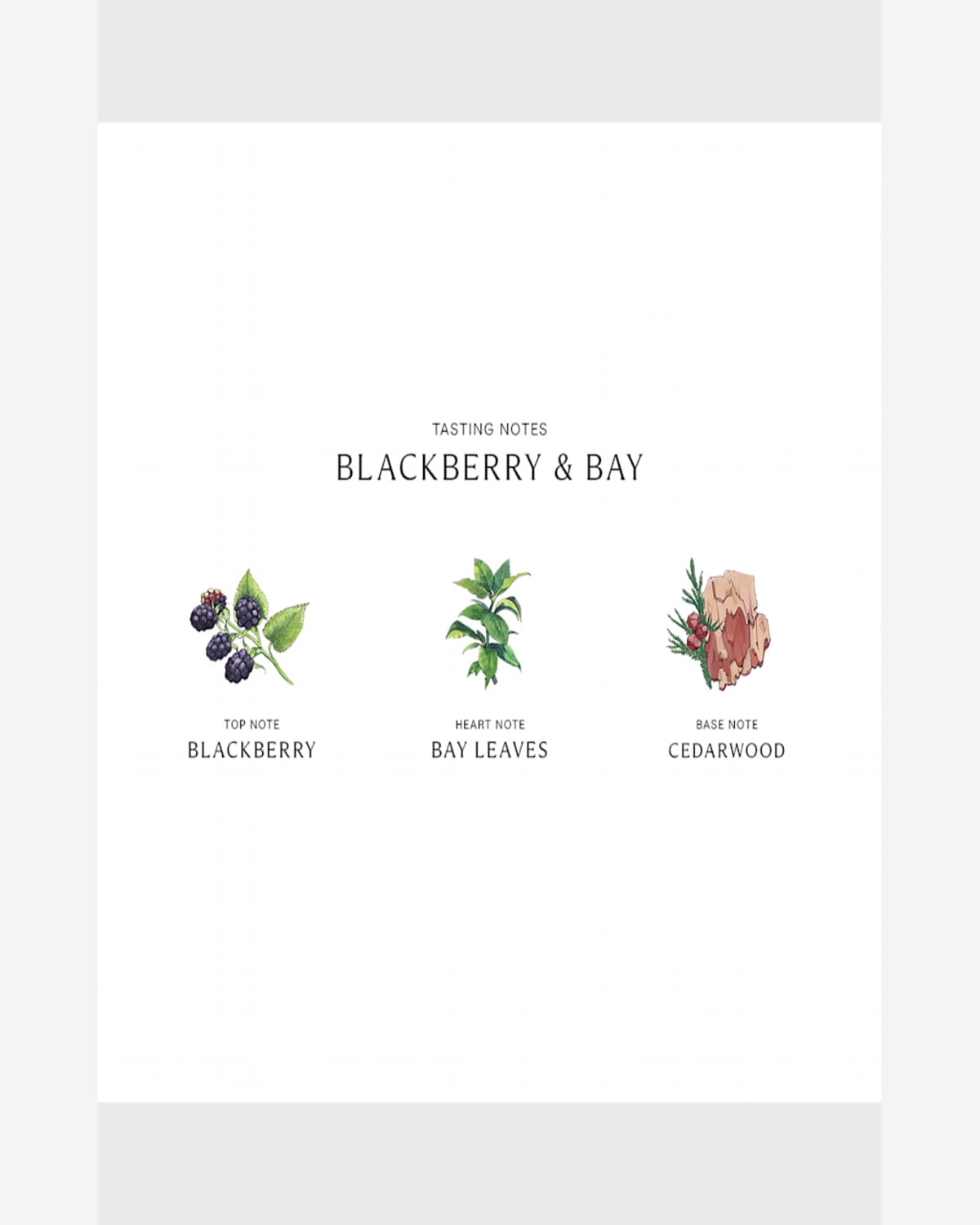 Jo Malone London Blackberry & Bay Scented Candle