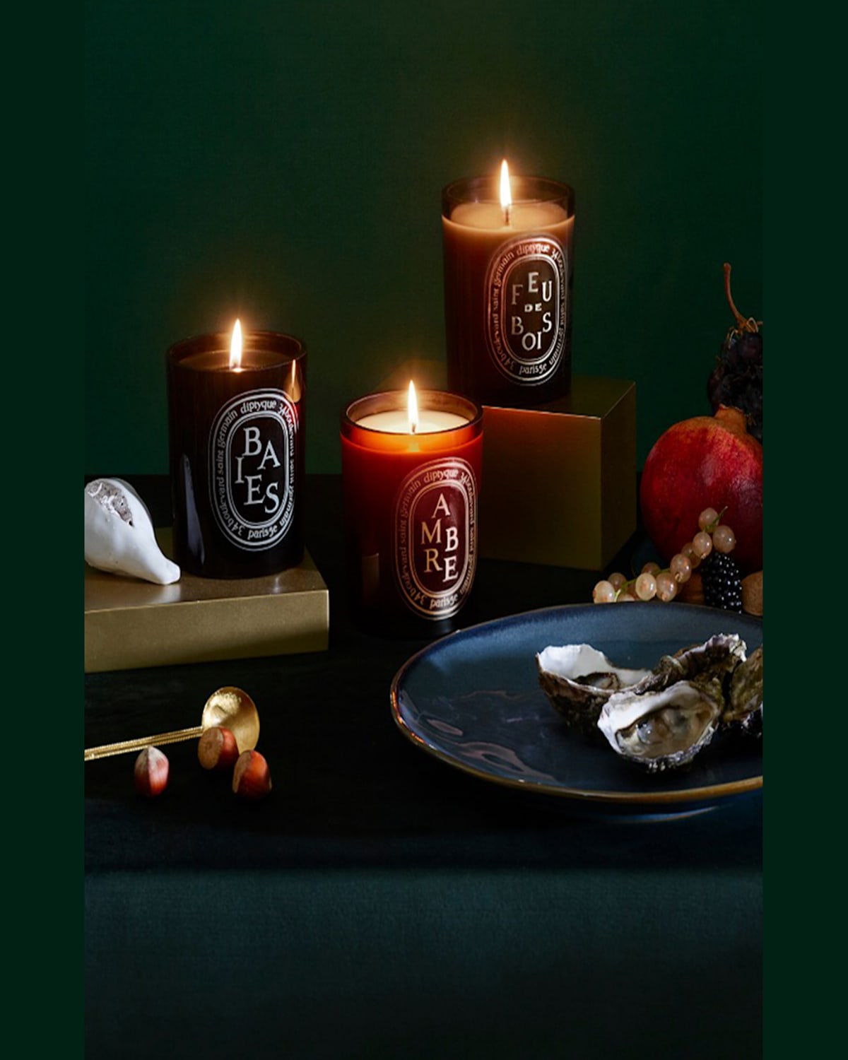 Shop Diptyque Baies (berries) Scented Candle, 10.2 Oz.