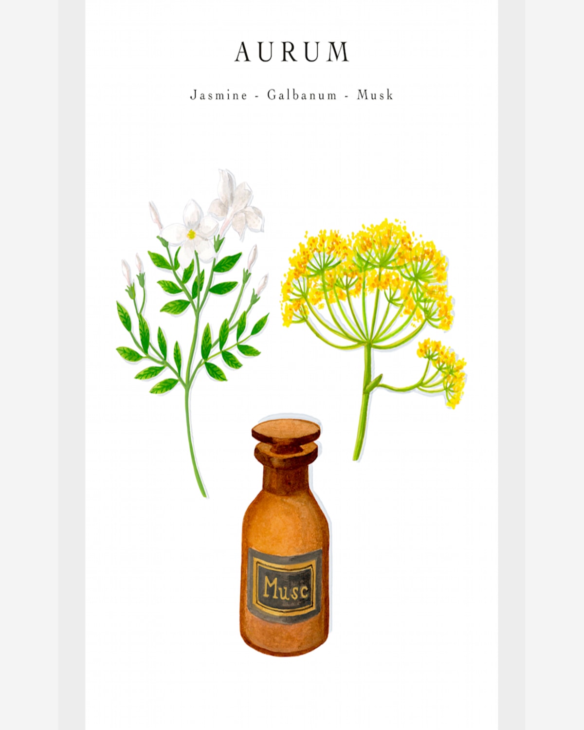 Baobab Collection Les Exclusives Aurum Candle In Gold