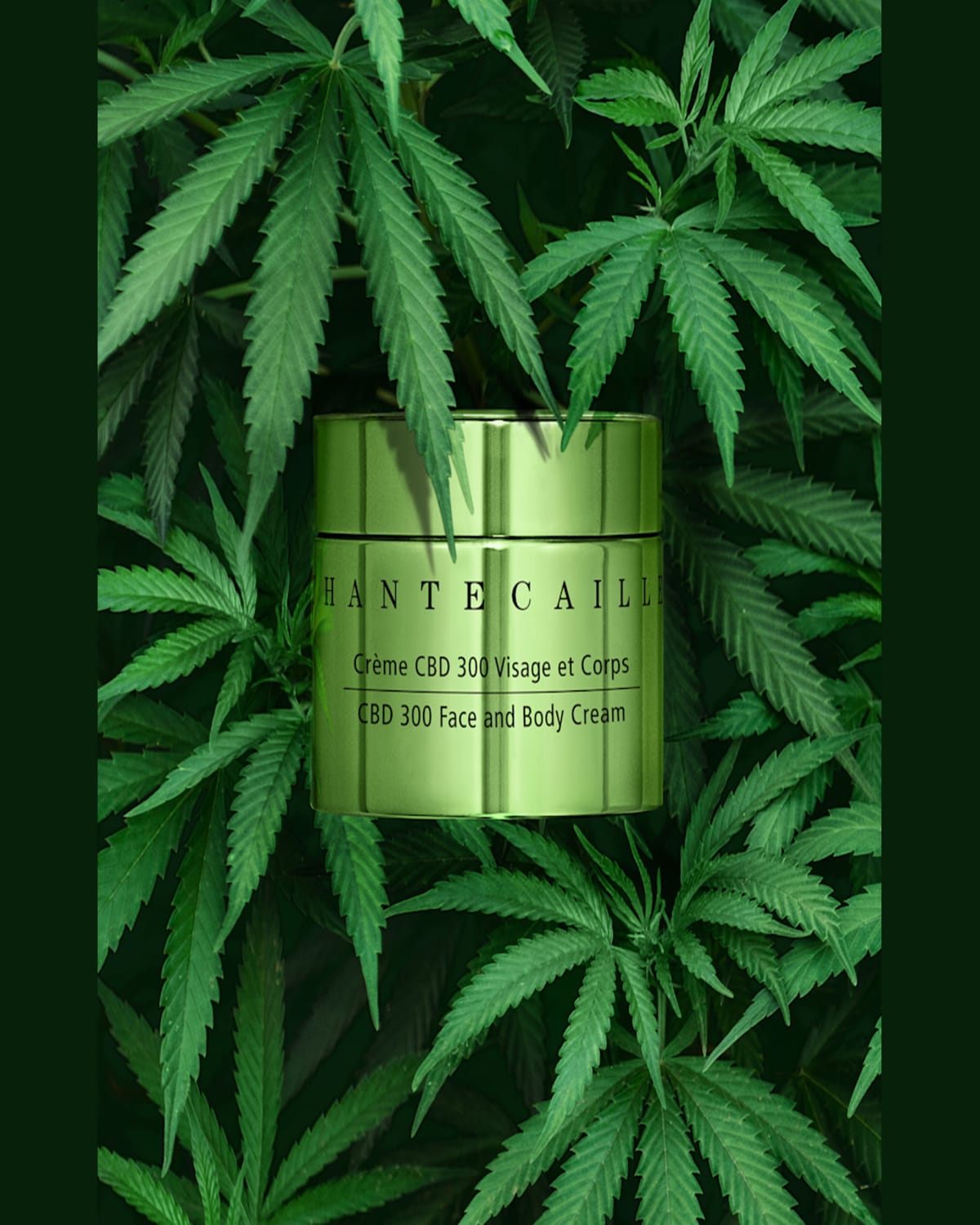 Chantecaille Cbd 300 Face And Body Cream, 1.7 Oz.