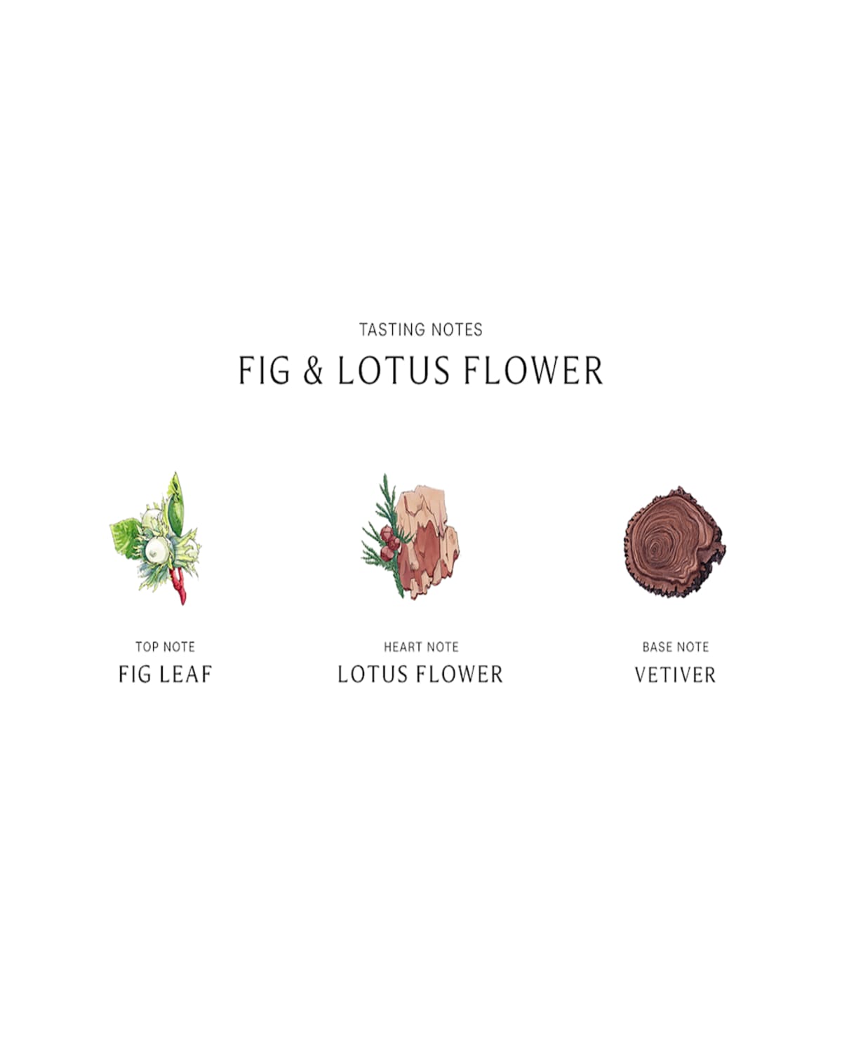 Jo Malone London Womens Fig & Lotus Flower Cologne 30ml