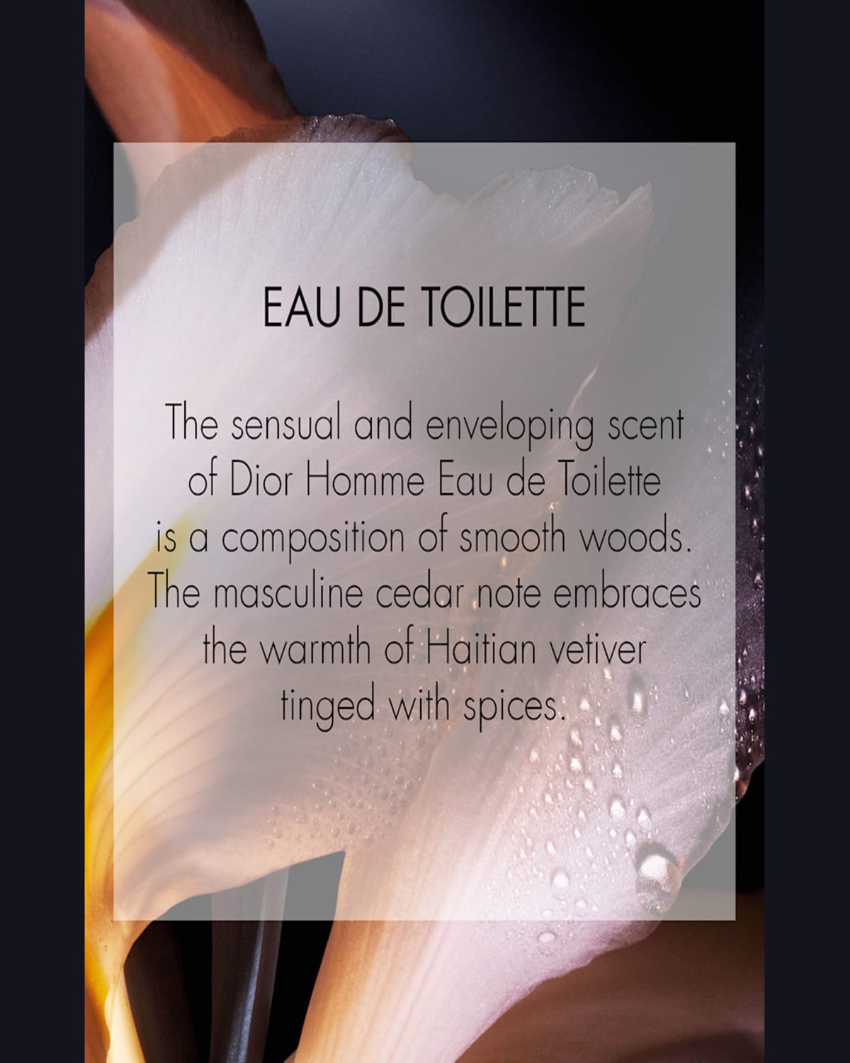 Dior Homme Eau De Toilette 5 Oz. In Yellow