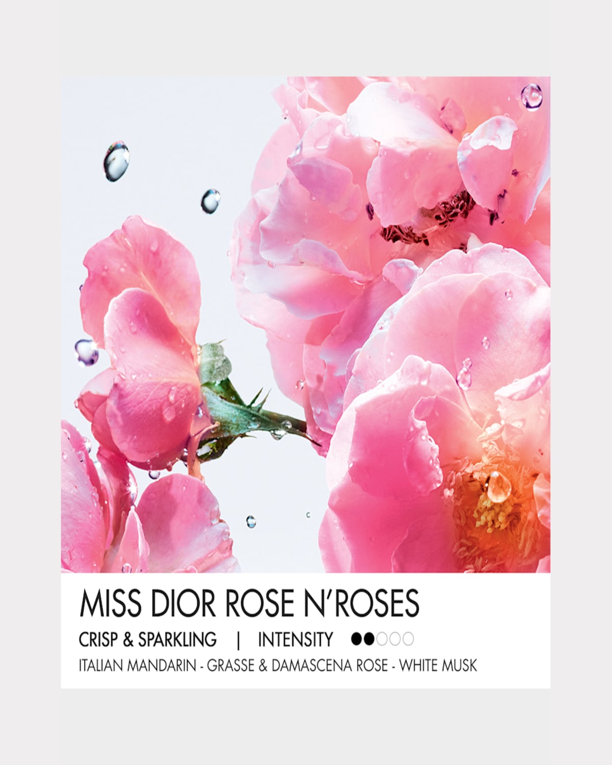 Dior Miss  Rose N'roses Eau De Toilette 5 oz/ 150 ml