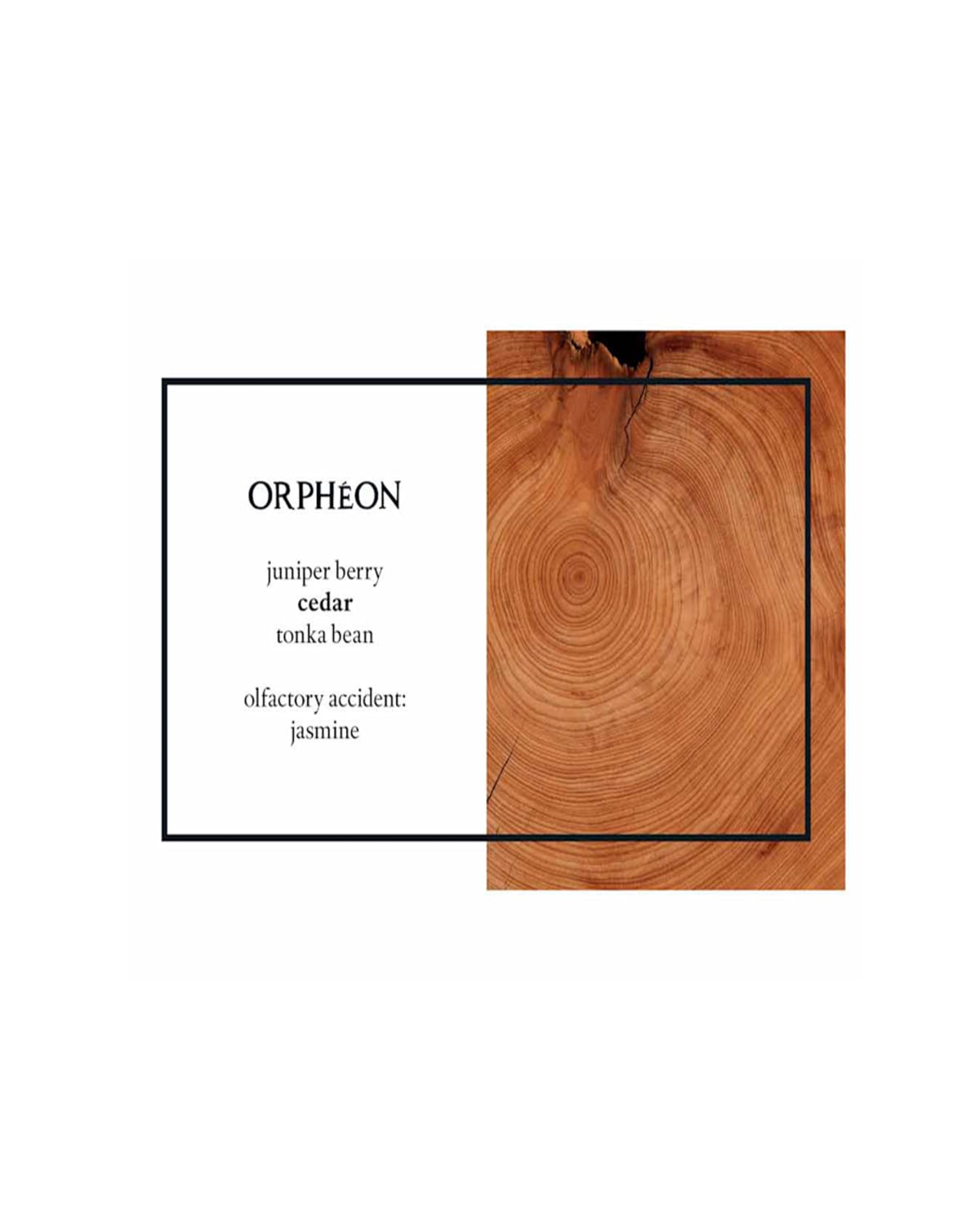 DIPTYQUE ORPHEON EAU DE PARFUM, 2.4 OZ. PROD240650344