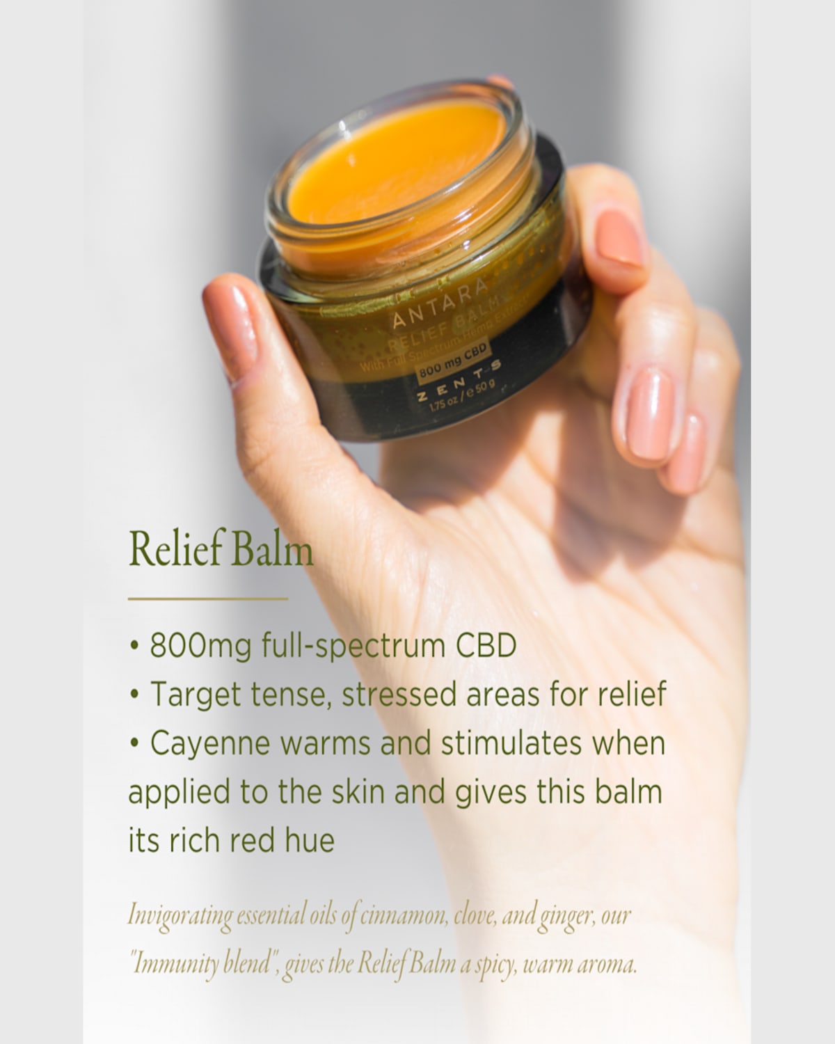 Zents 1.75 Oz. Antara Relief Balm With 800 Mg Cbd