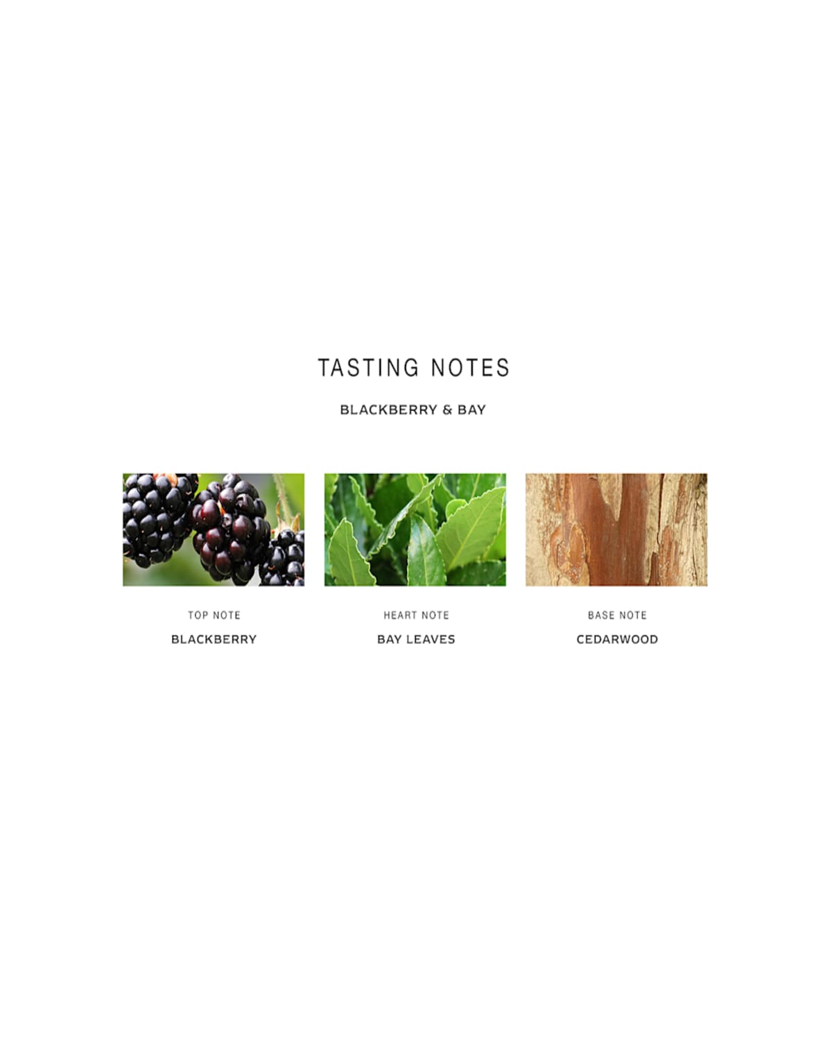 Jo Malone London ™ Blackberry & Bay Cologne