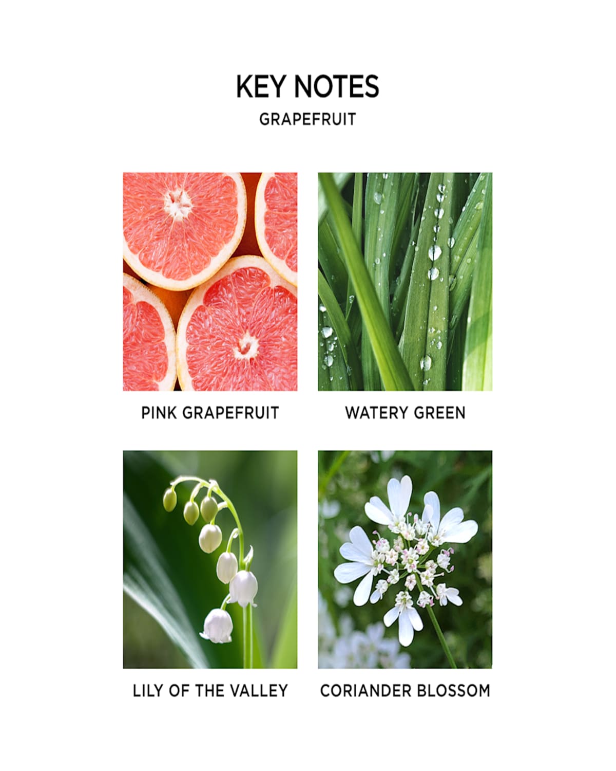 Nest New York Grapefruit Wall Diffuser Refill Duo