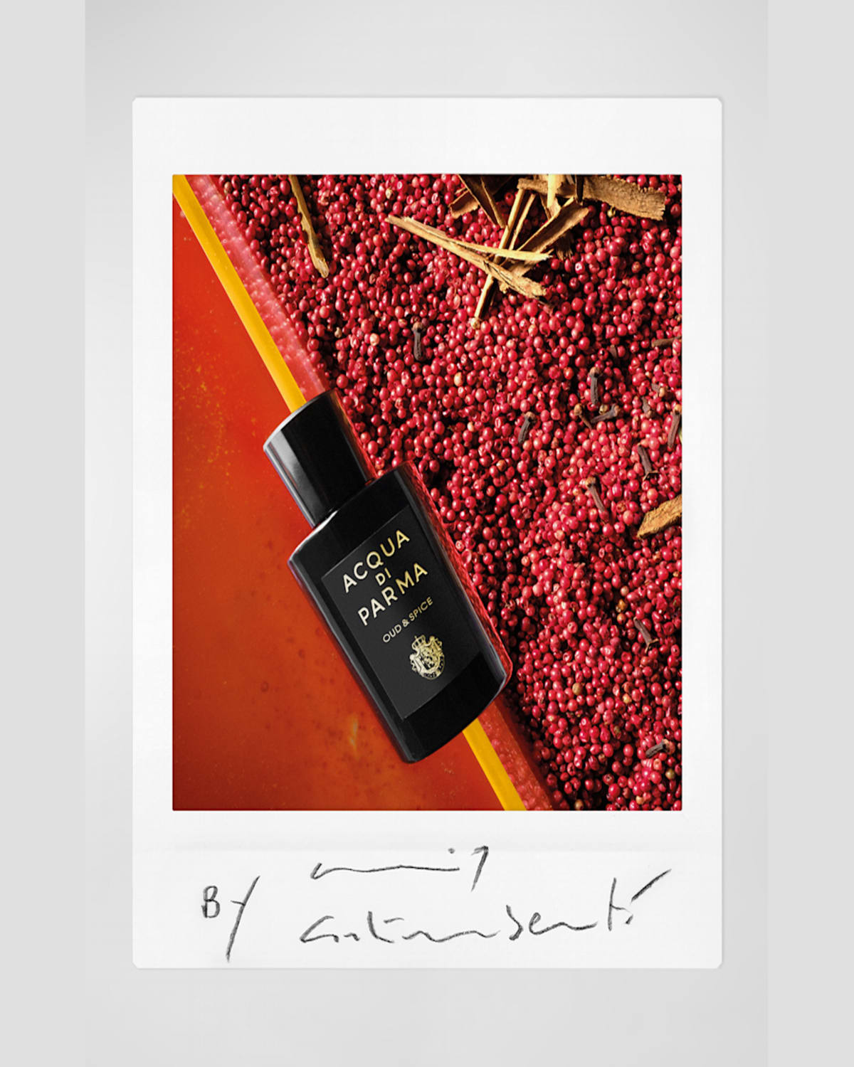 Acqua Di Parma Signature Oud & Spice Eau De Parfum, 3.4 Oz.