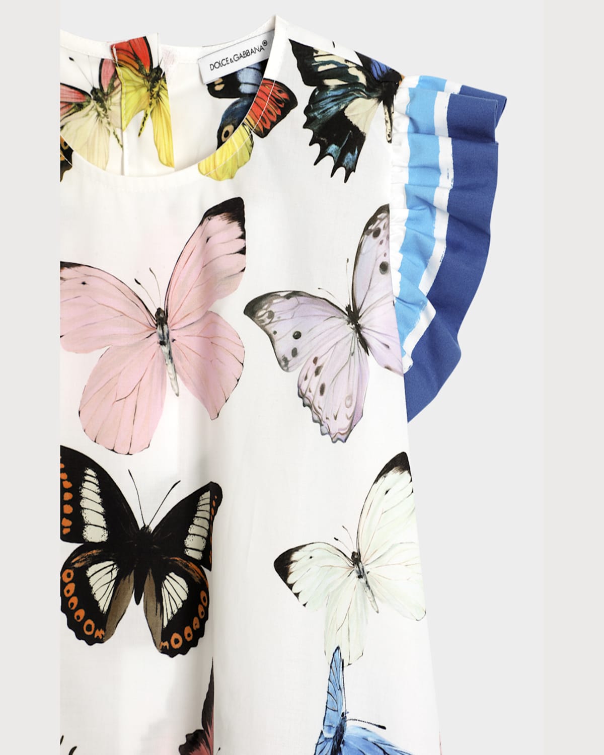 Dolce & Gabbana Butterfly-print Dress In White Prnt
