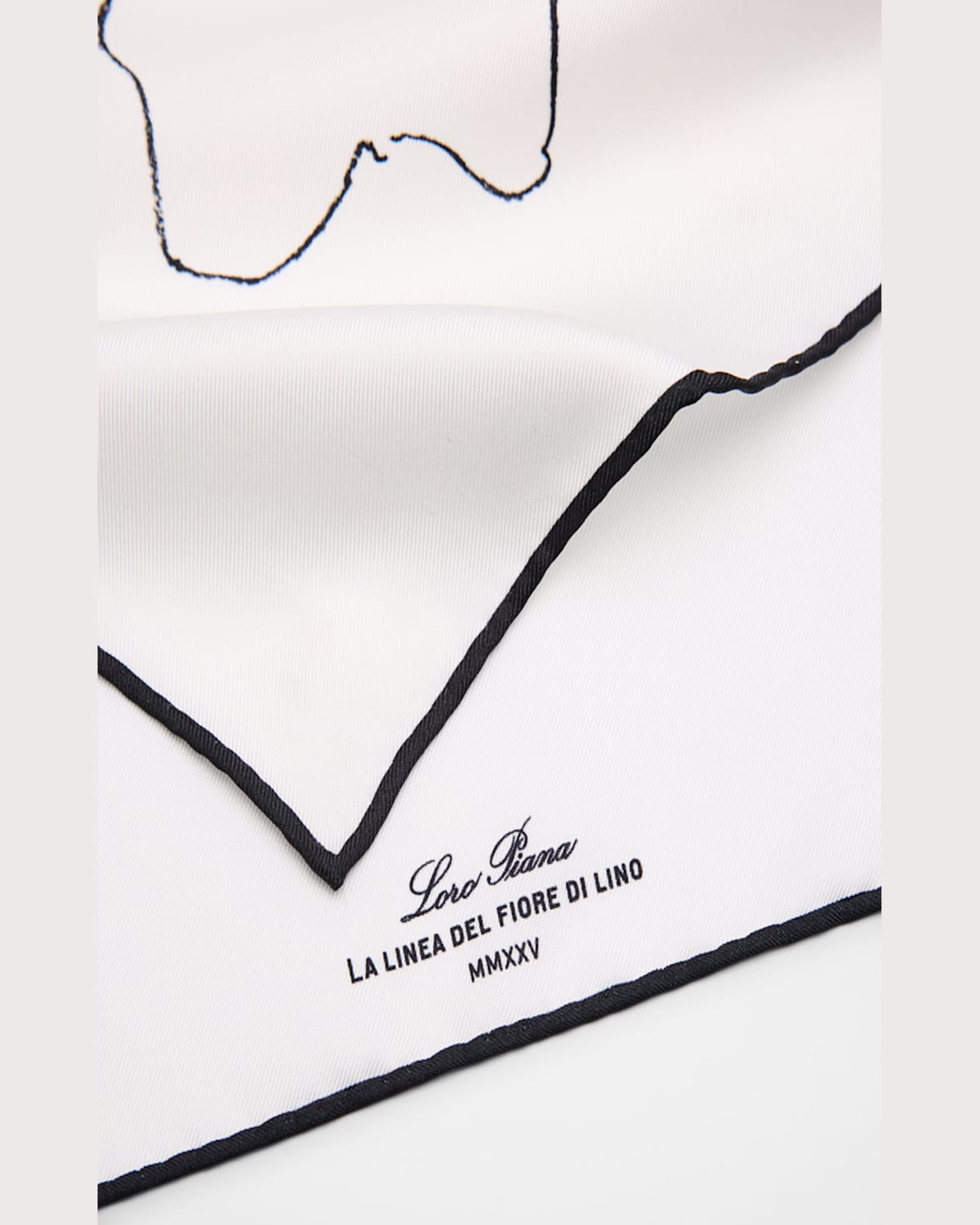 Loro Piana Linea Del Fiore Di Lino Silk Scarf