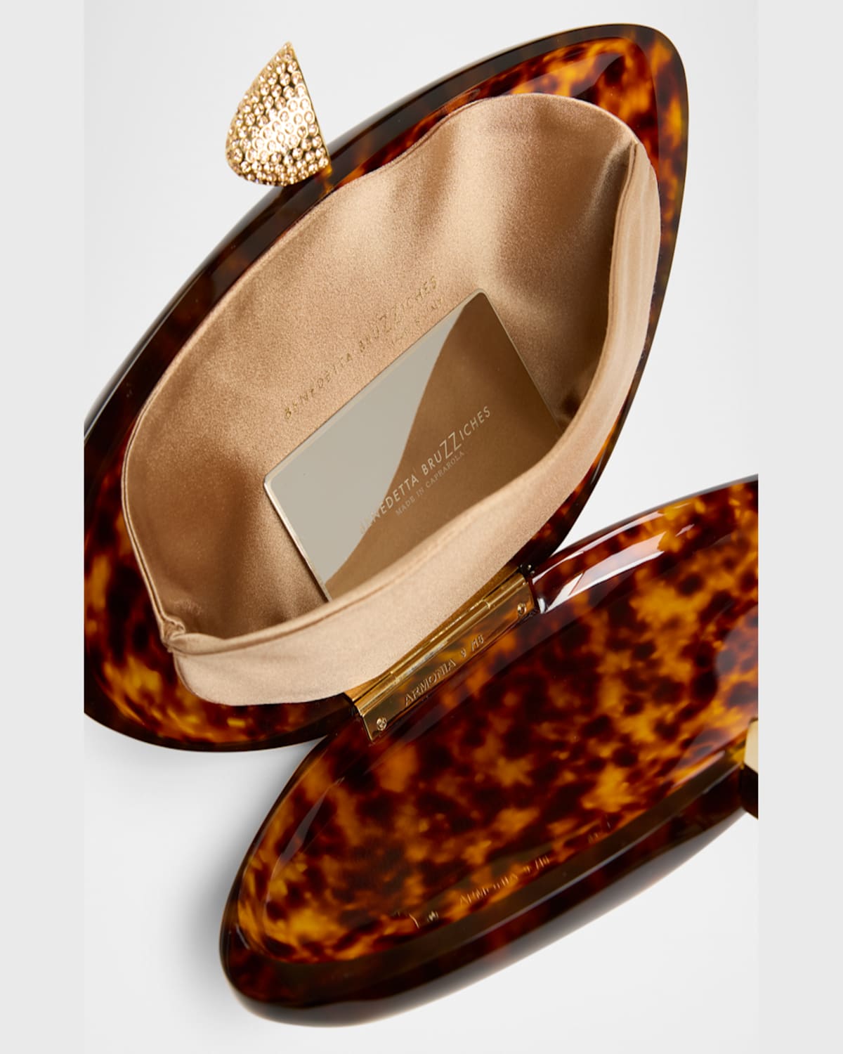 Benedetta Bruzziches Armonia Methacrylate Clutch Bag In Way Back To Guadalajara