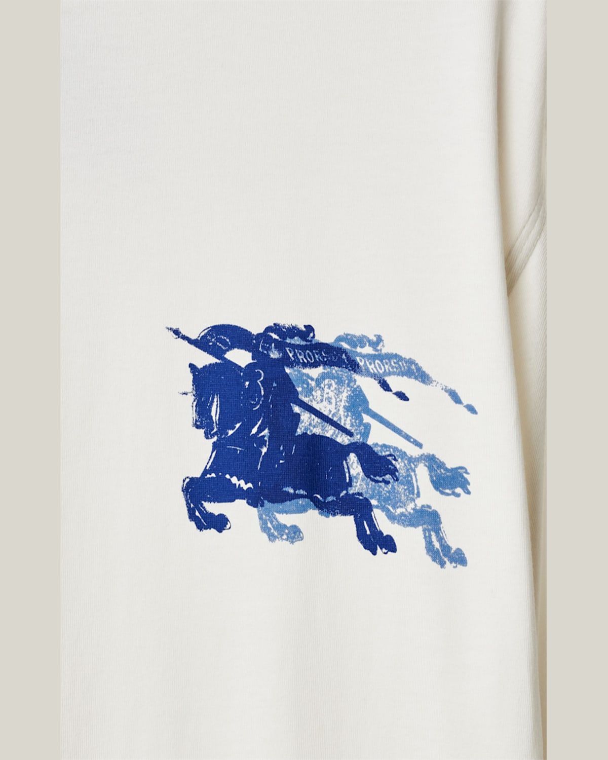 Burberry Ekd Cotton T-shirt In Chalk