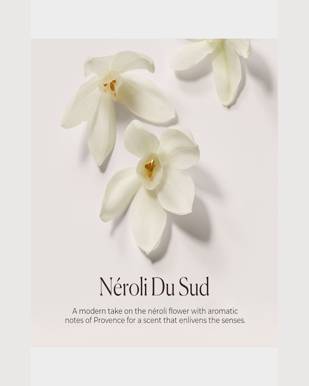 Laura Mercier Hydrating Body Wash Neroli Du Sud, 6.76 Oz.