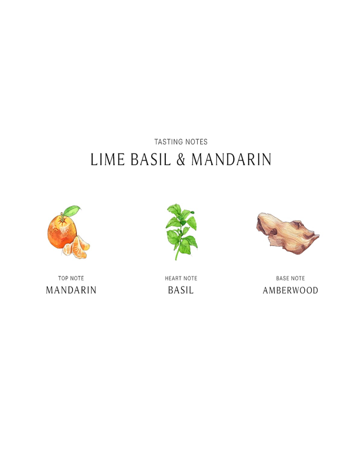 Jo Malone London Jo Malone Women's Lime Basil & Mandarin 1oz Cologne Spray