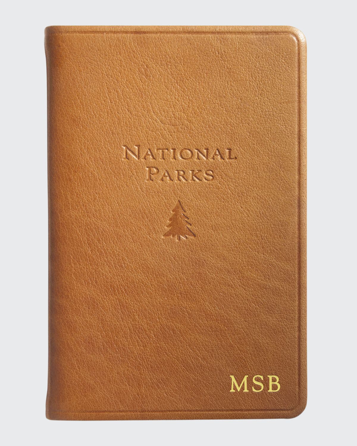 Graphic Image National Parks Book In Brown