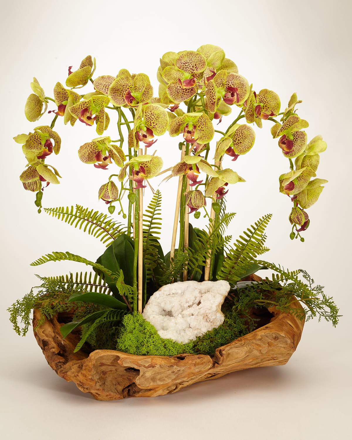 Shop T & C Floral Company White Orchid Faux-floral Arrangement In Wooden Bowl In Green