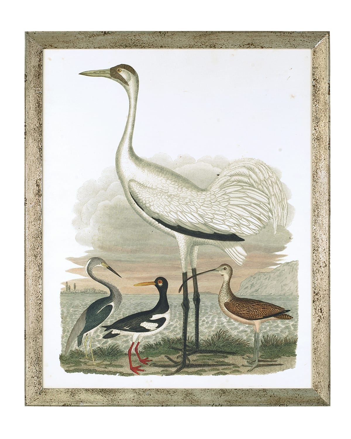 John-richard Collection Large Heron Family Ii Art Print In Multi