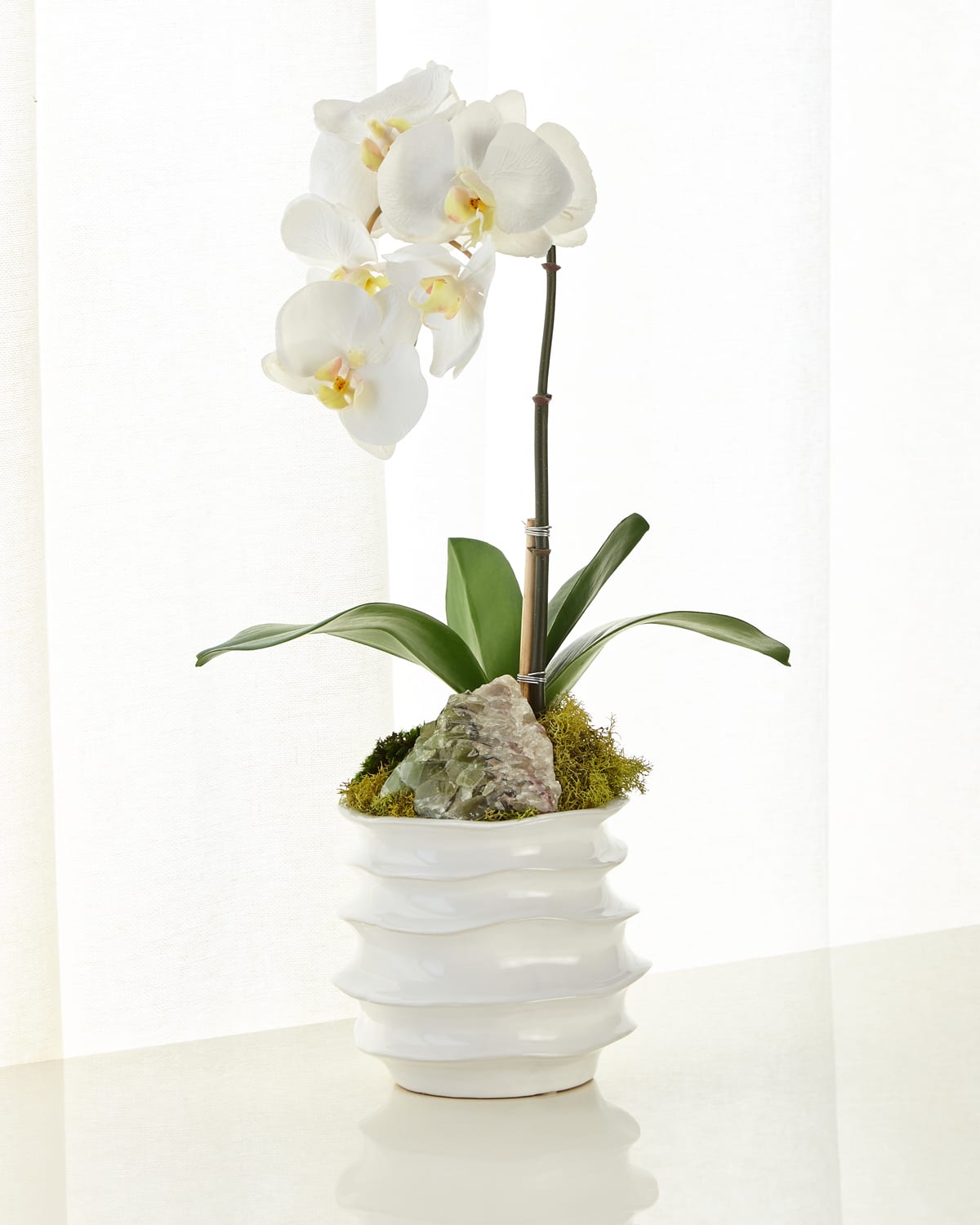 Shop T & C Floral Company White Orchid In Contemporary Pot In White/green