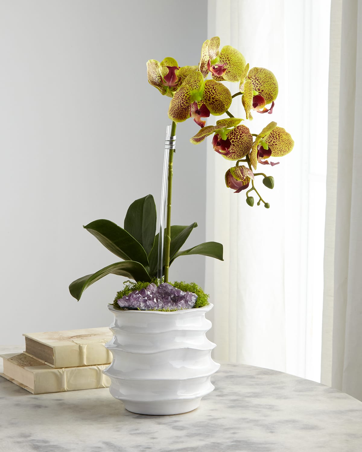 T & C Floral Company White Orchid In Contemporary Pot