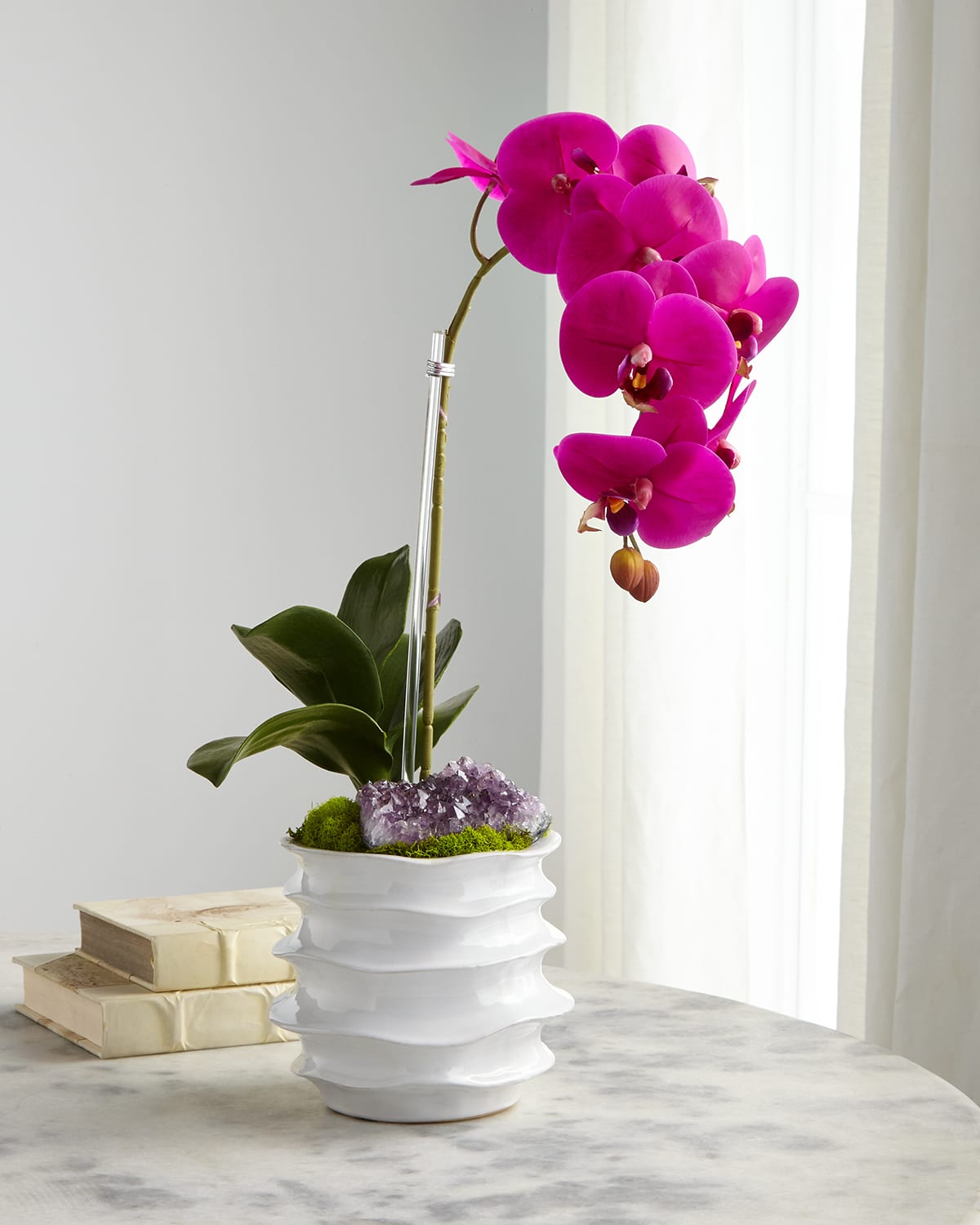 Shop T & C Floral Company White Orchid In Contemporary Pot In Fuchsia