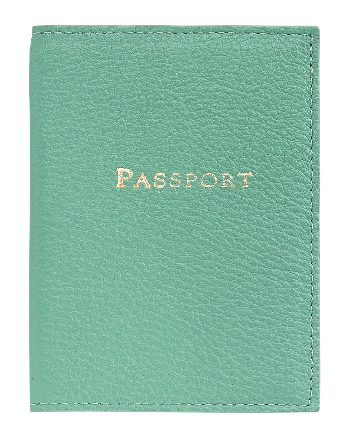 Graphic Image Passport Cover In Robins Egg Blue