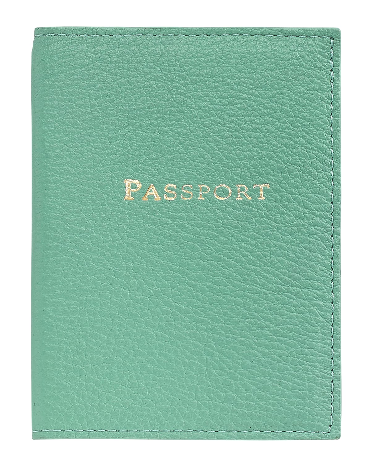 Graphic Image Passport Cover In Robins Egg Blue