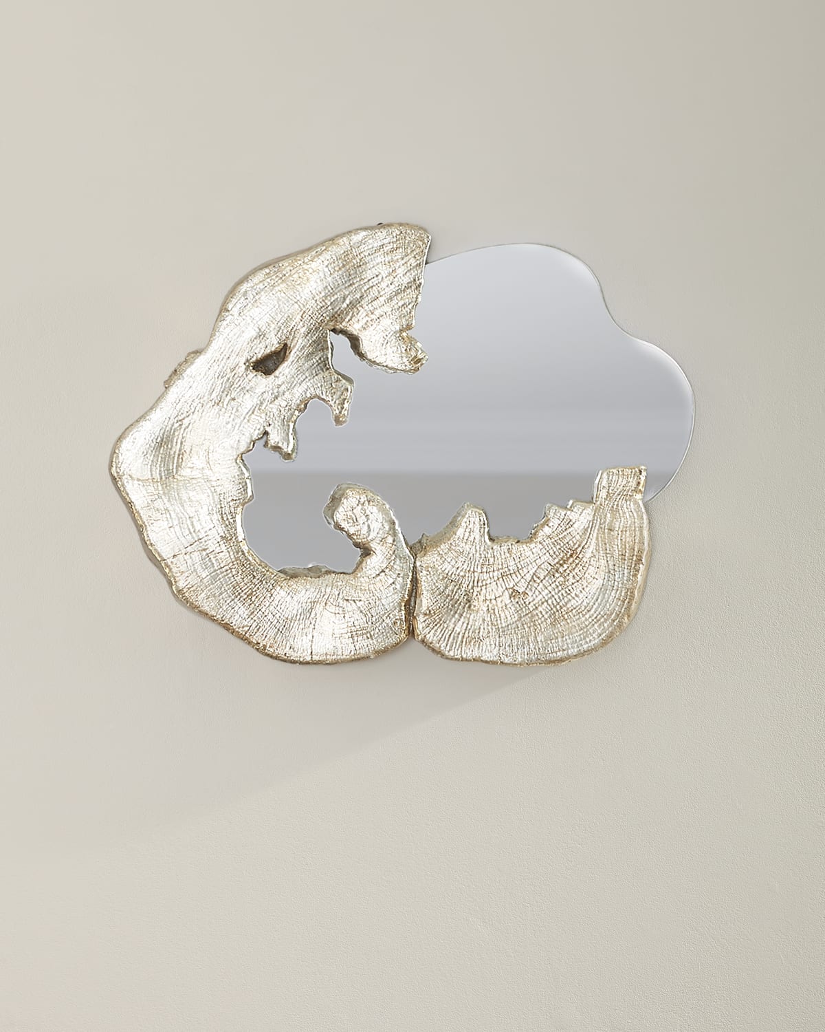 Jamie Young Organic Shape Medium Mirror In Champagne
