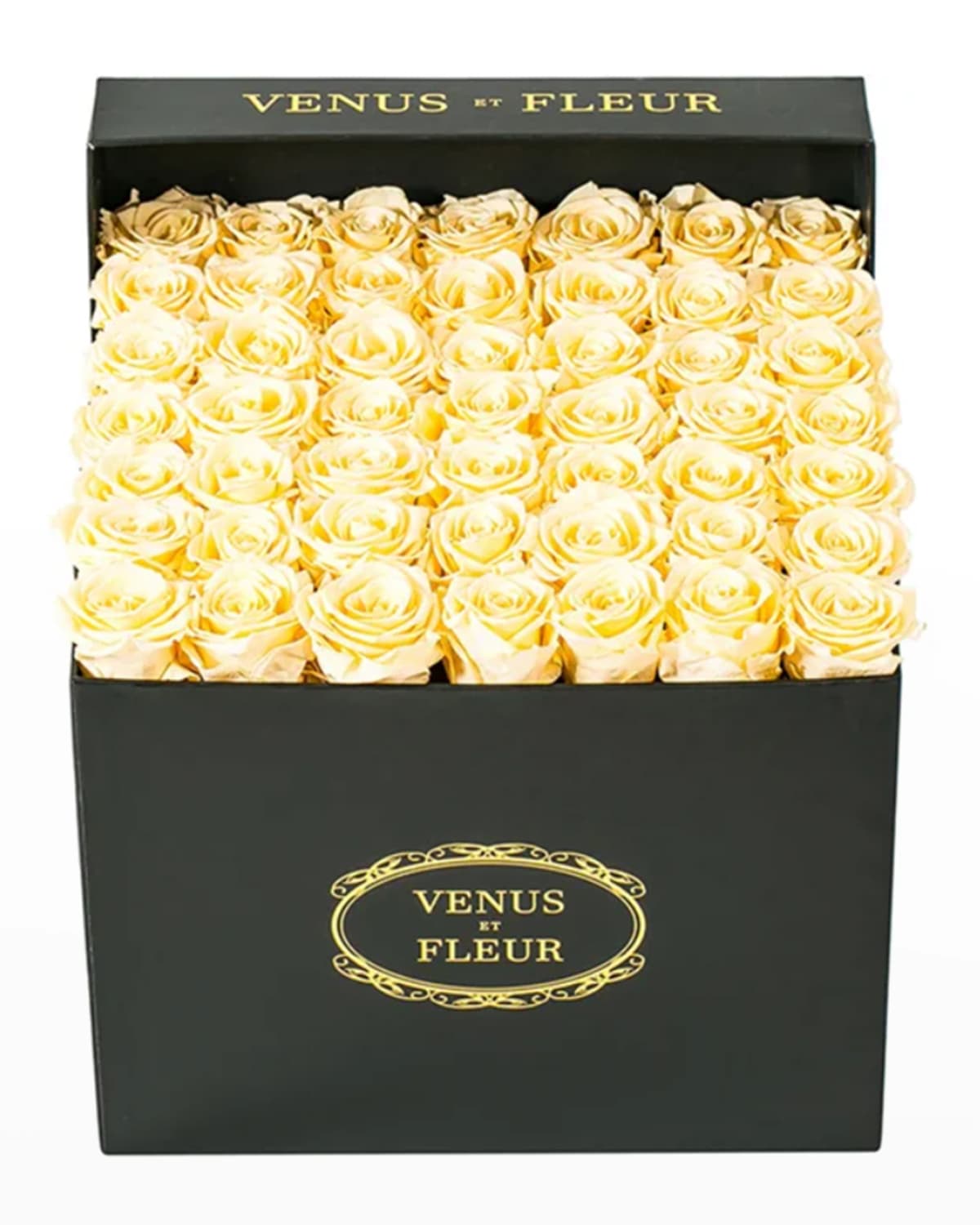 Shop Venus Et Fleur Classic Large Square Rose Box In Champagne