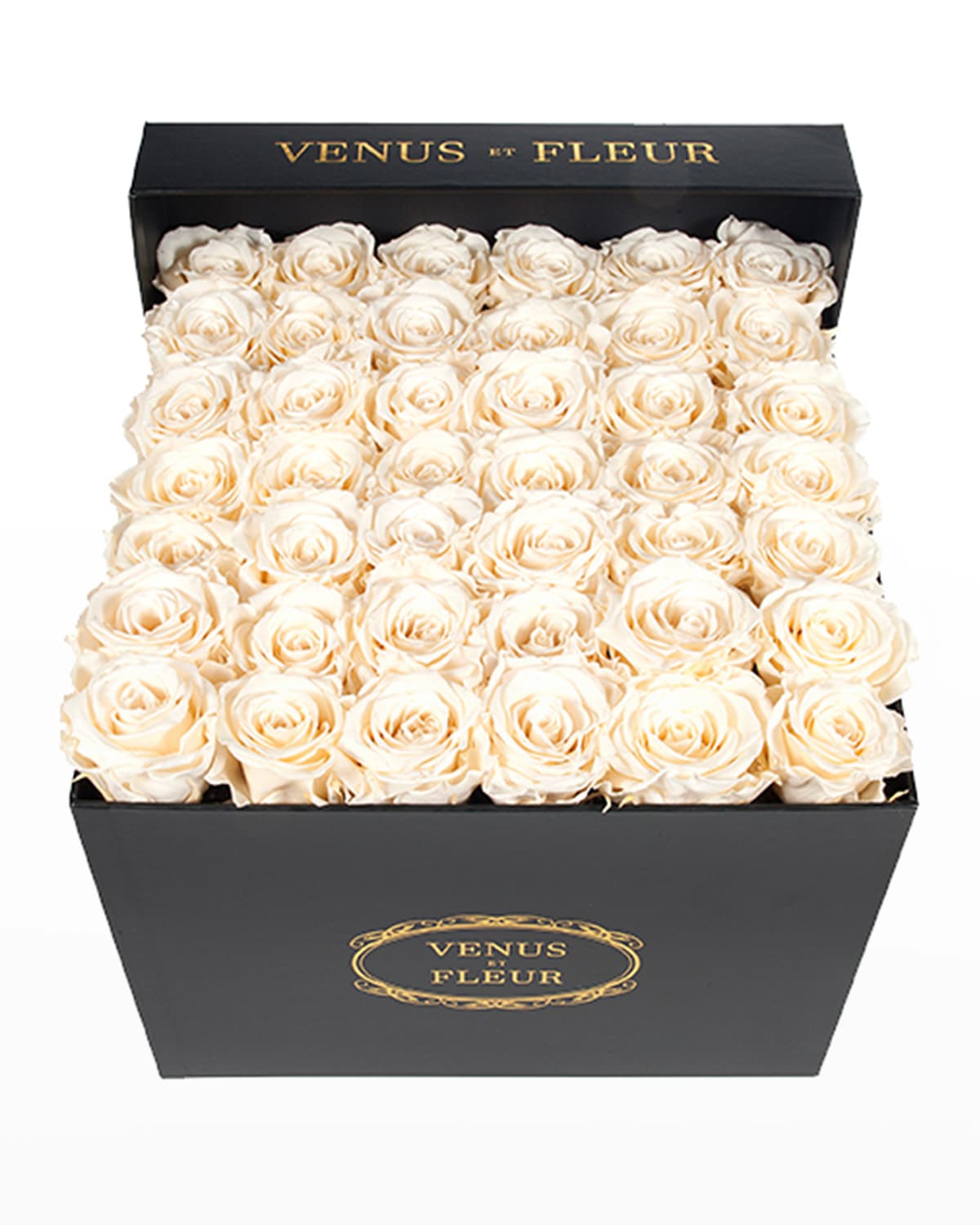 Shop Venus Et Fleur Classic Large Square Rose Box In Pearl