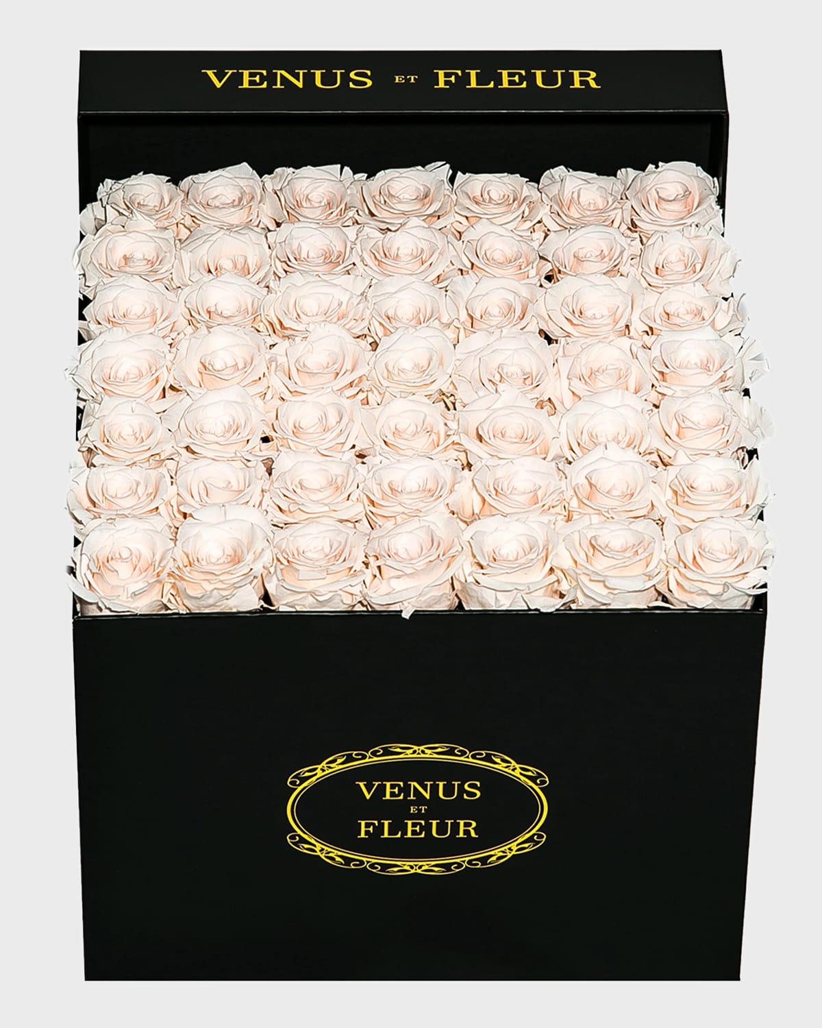 Venus Et Fleur Classic Large Square Rose Box In Blush