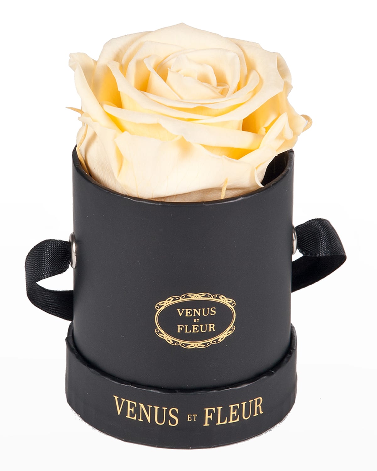 Shop Venus Et Fleur Classic Mini Round Rose Box In Champagne