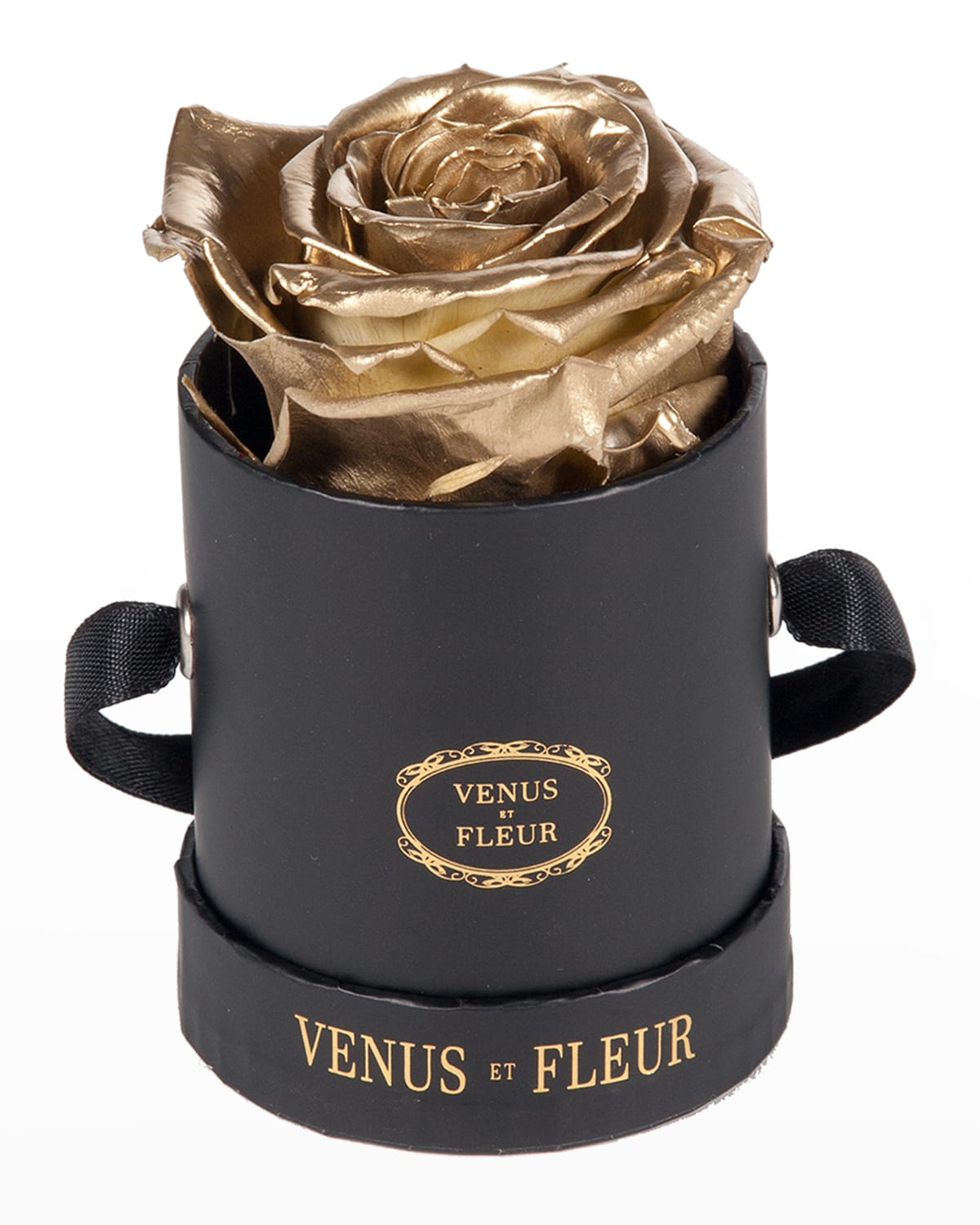 Venus Et Fleur Classic Mini Round Rose Box In Gold