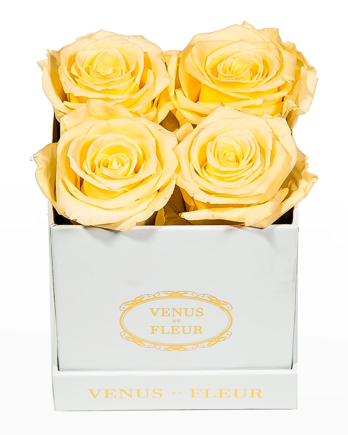 Shop Venus Et Fleur Classic Petite Square Rose Box In Champagne
