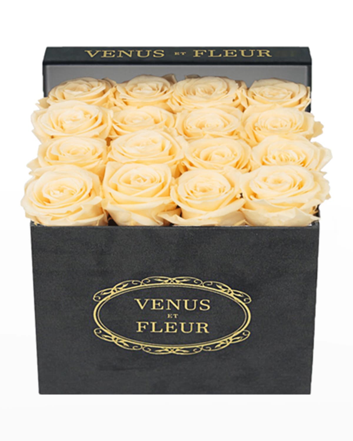 Shop Venus Et Fleur Suede Small Square Rose Box In Champagne