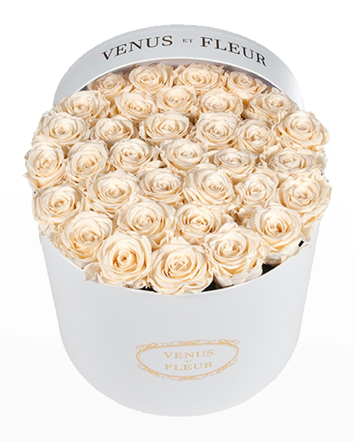 Shop Venus Et Fleur Classic Large Round Rose Box In Pearl