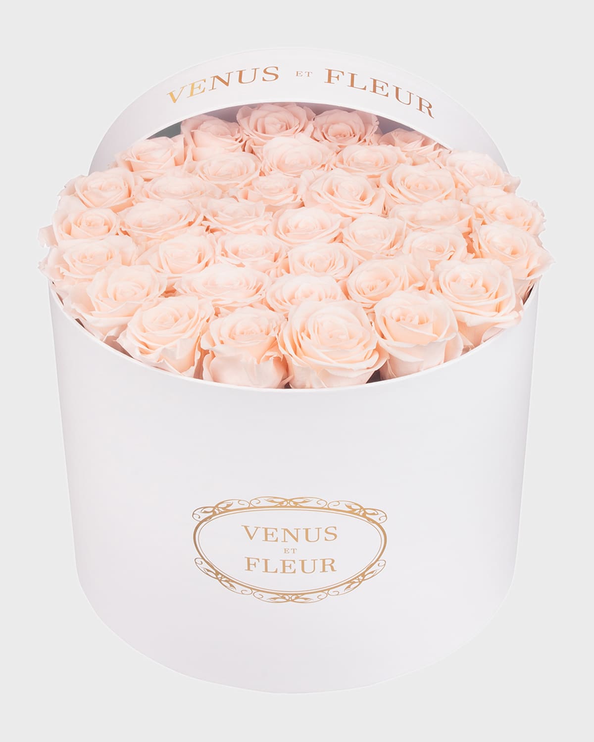 Venus Et Fleur Classic Large Round Rose Box In Blush