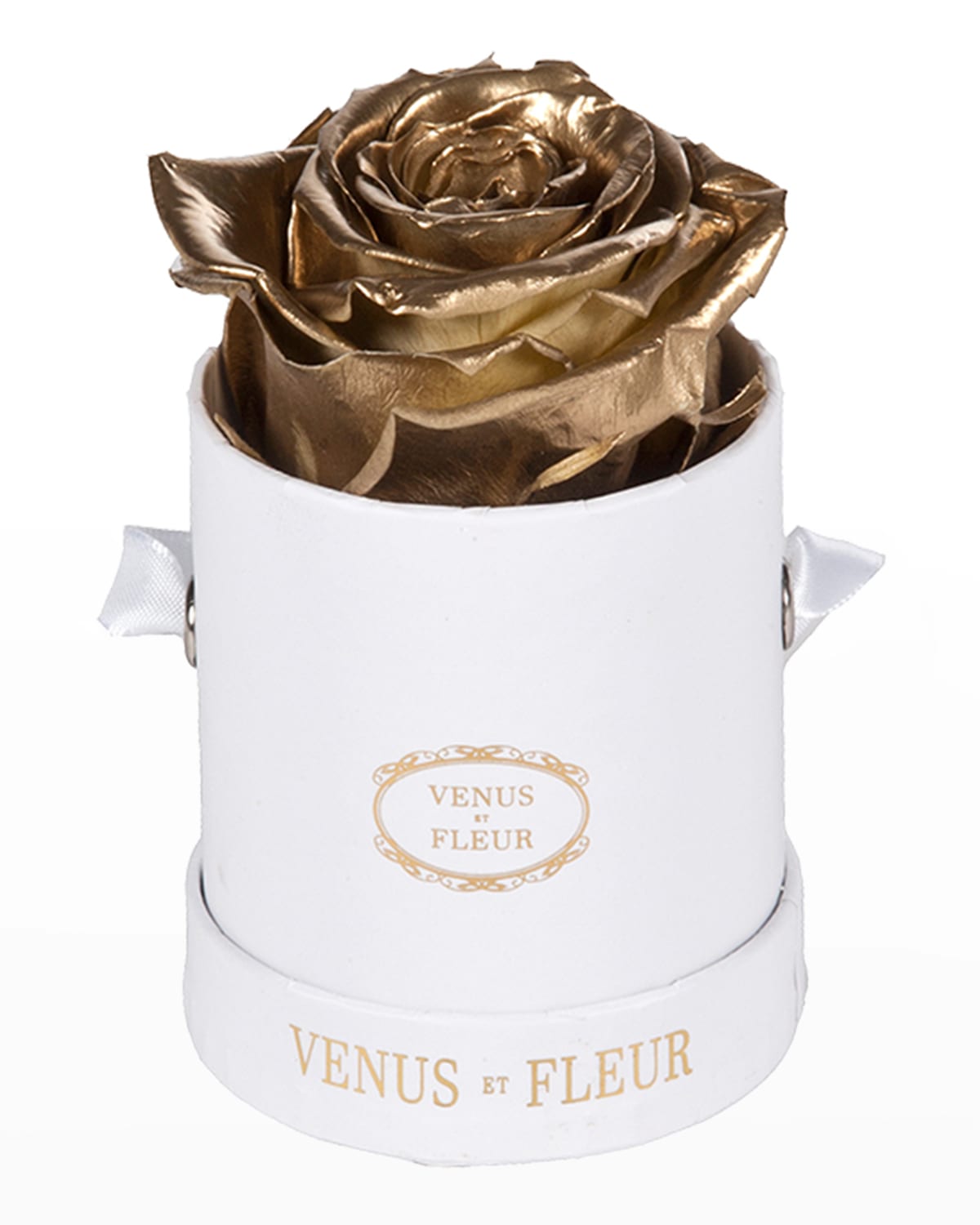 Venus Et Fleur Classic Mini Round Rose Box In Gold