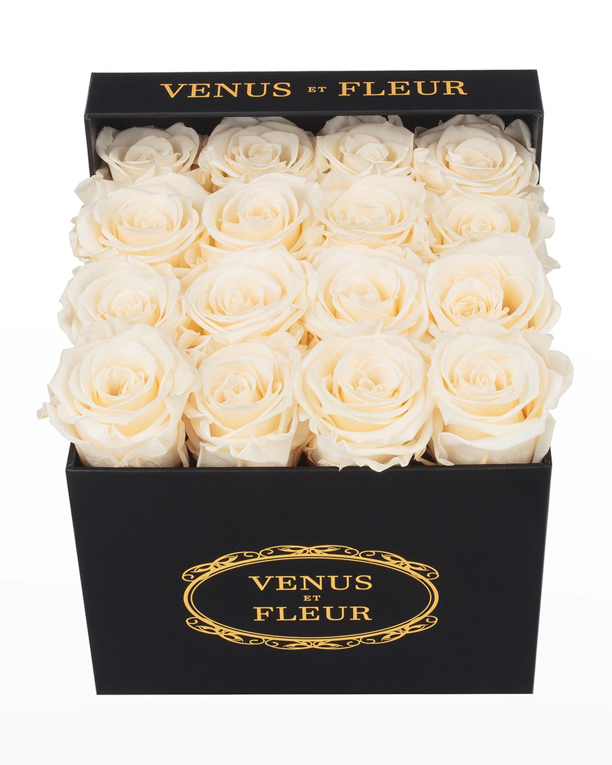 Shop Venus Et Fleur Classic Small Square Rose Box In Pearl