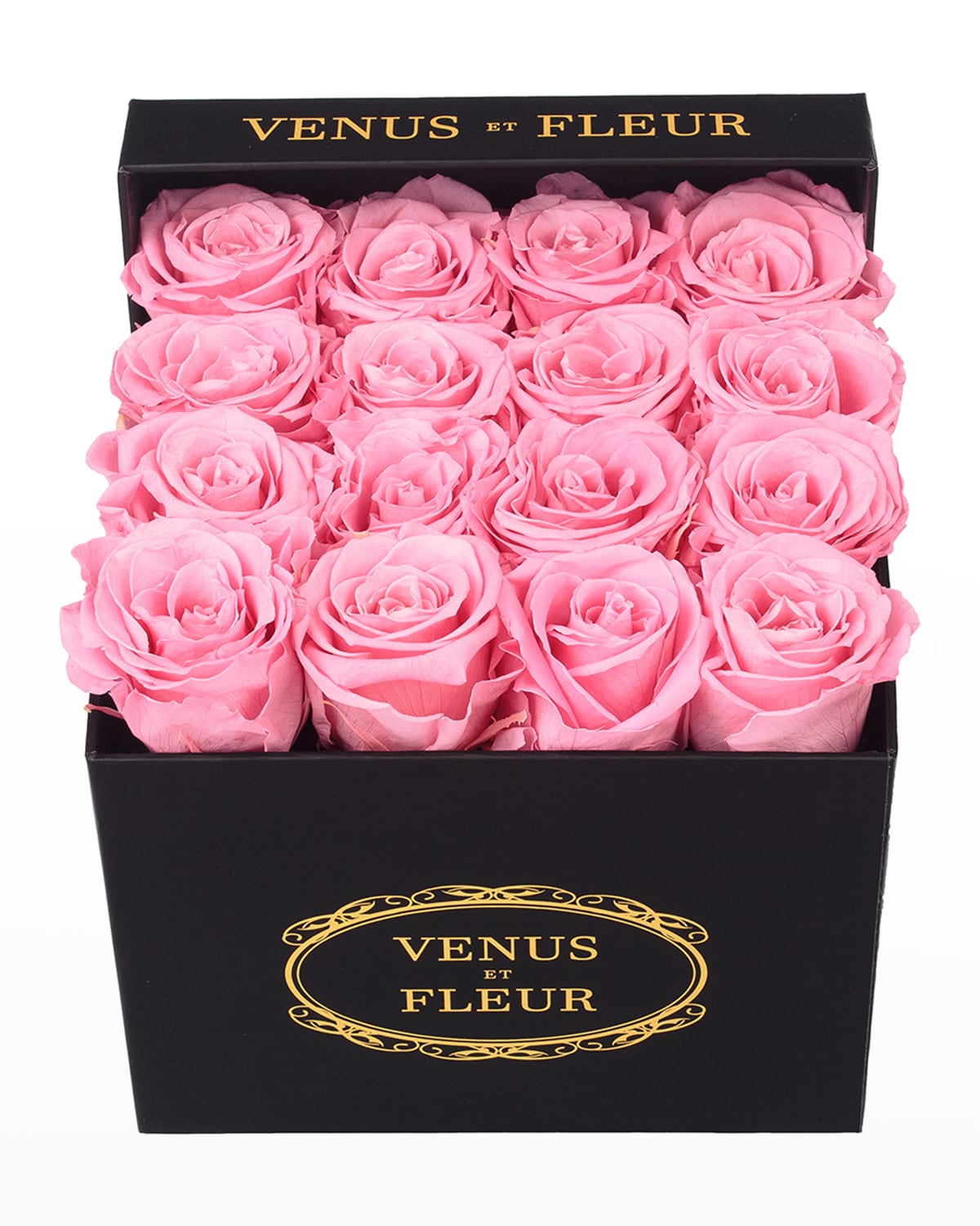 Shop Venus Et Fleur Classic Small Square Rose Box In Pink
