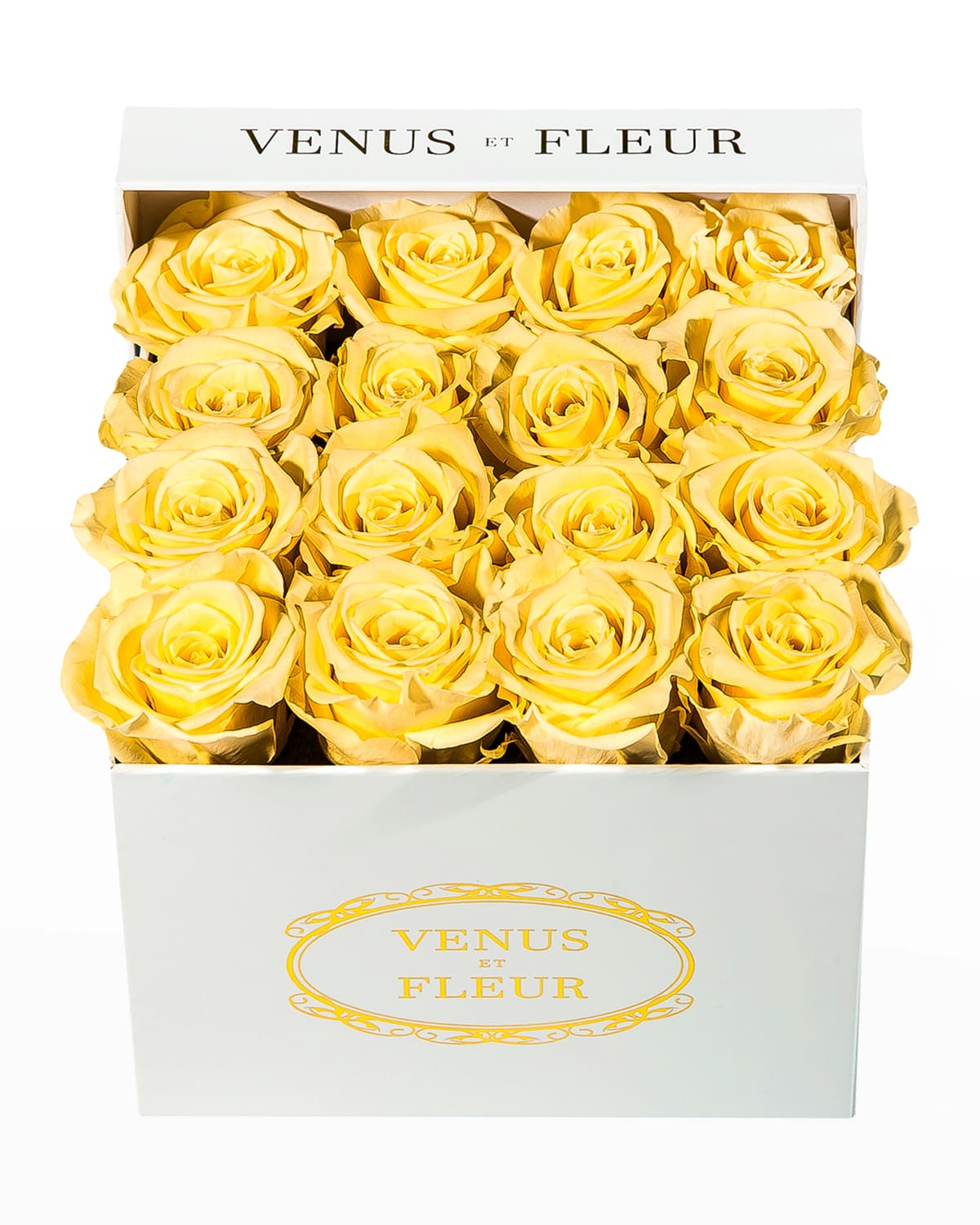 Shop Venus Et Fleur Classic Small Square Rose Box In Champagne