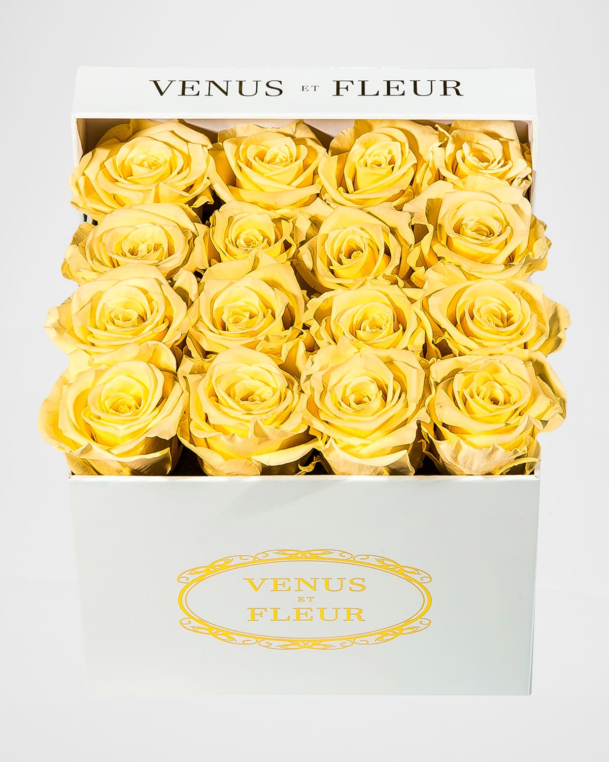 Shop Venus Et Fleur Classic Small Square Rose Box In Champagne