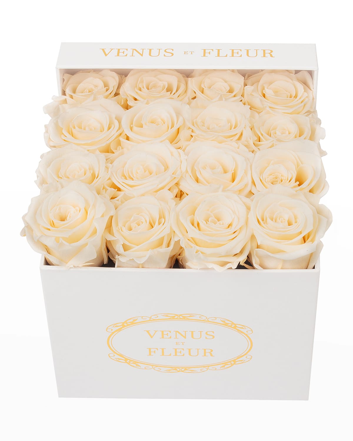 Shop Venus Et Fleur Classic Small Square Rose Box In Pearl