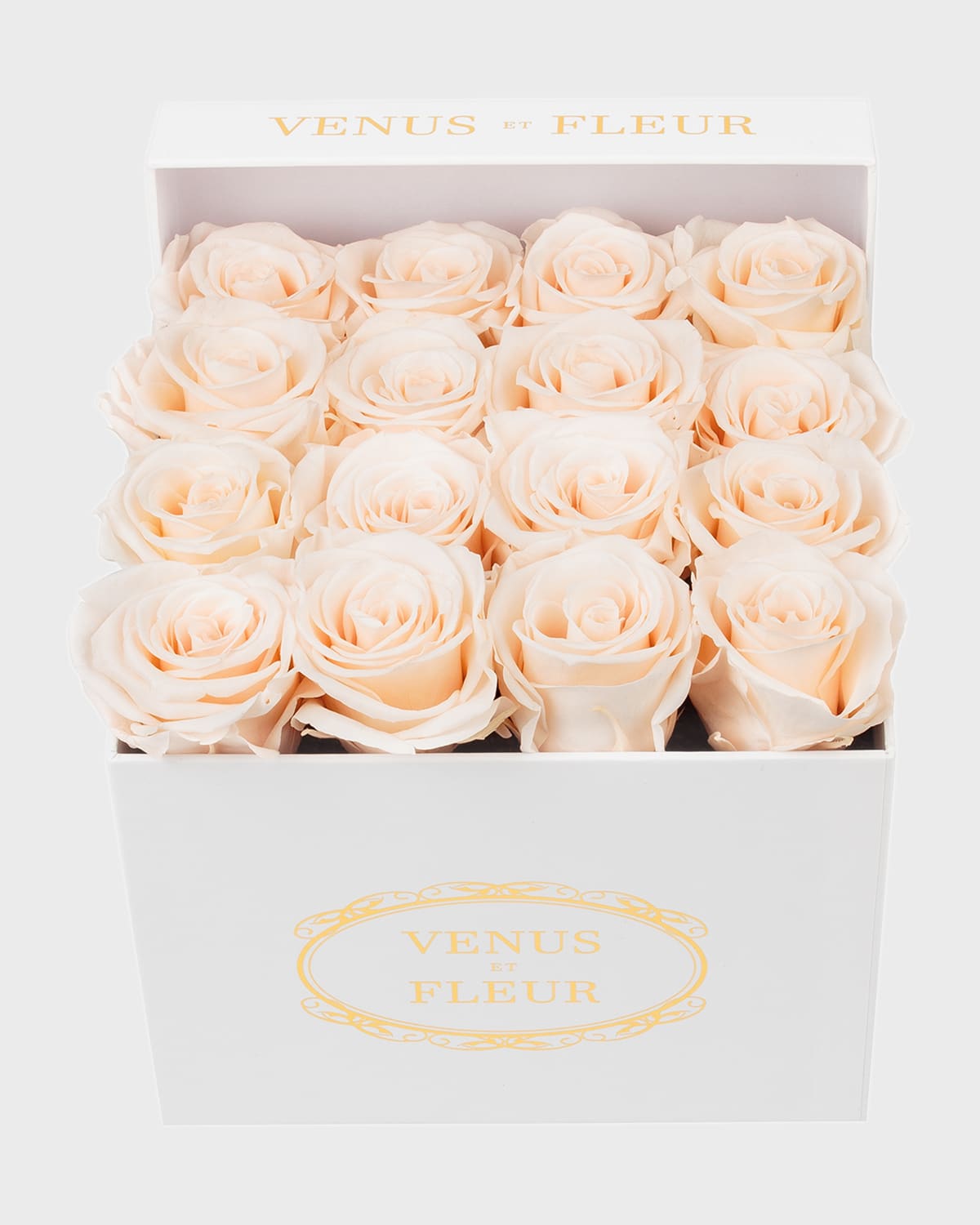Shop Venus Et Fleur Classic Small Square Rose Box In Blush