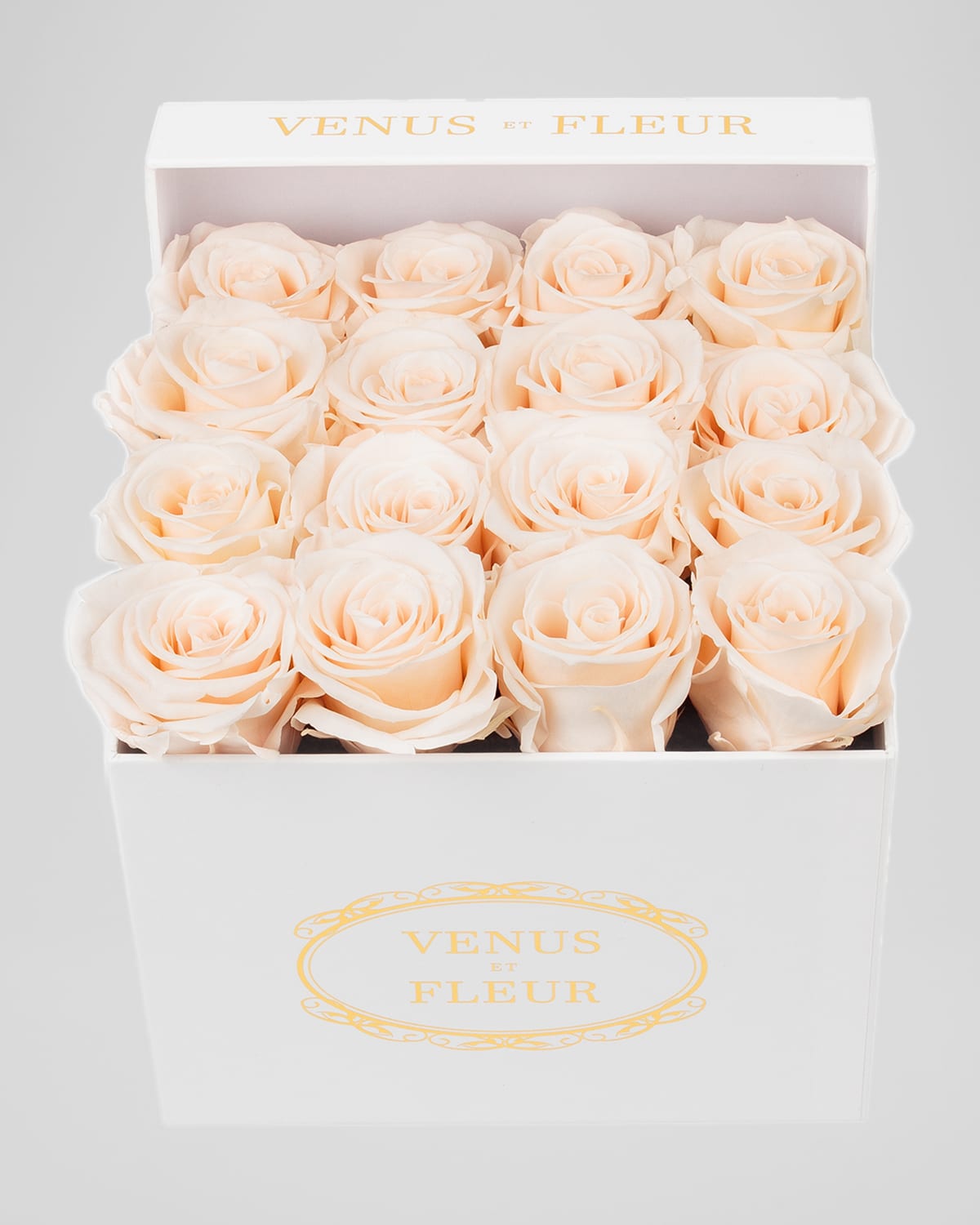 Venus Et Fleur Classic Small Square Rose Box In Blush