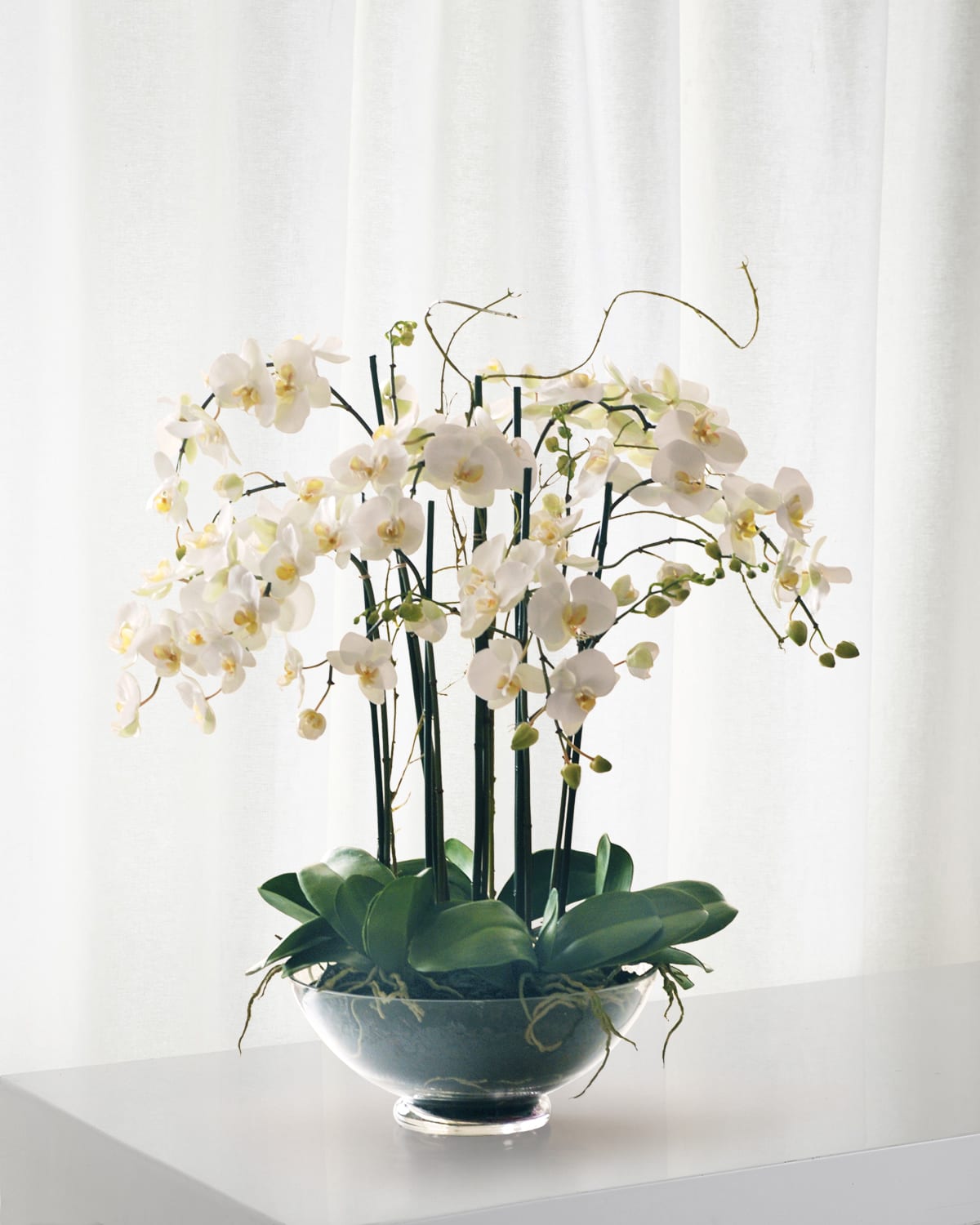 Shop Winward Home Phalaenopsis In Glass Bowl In White