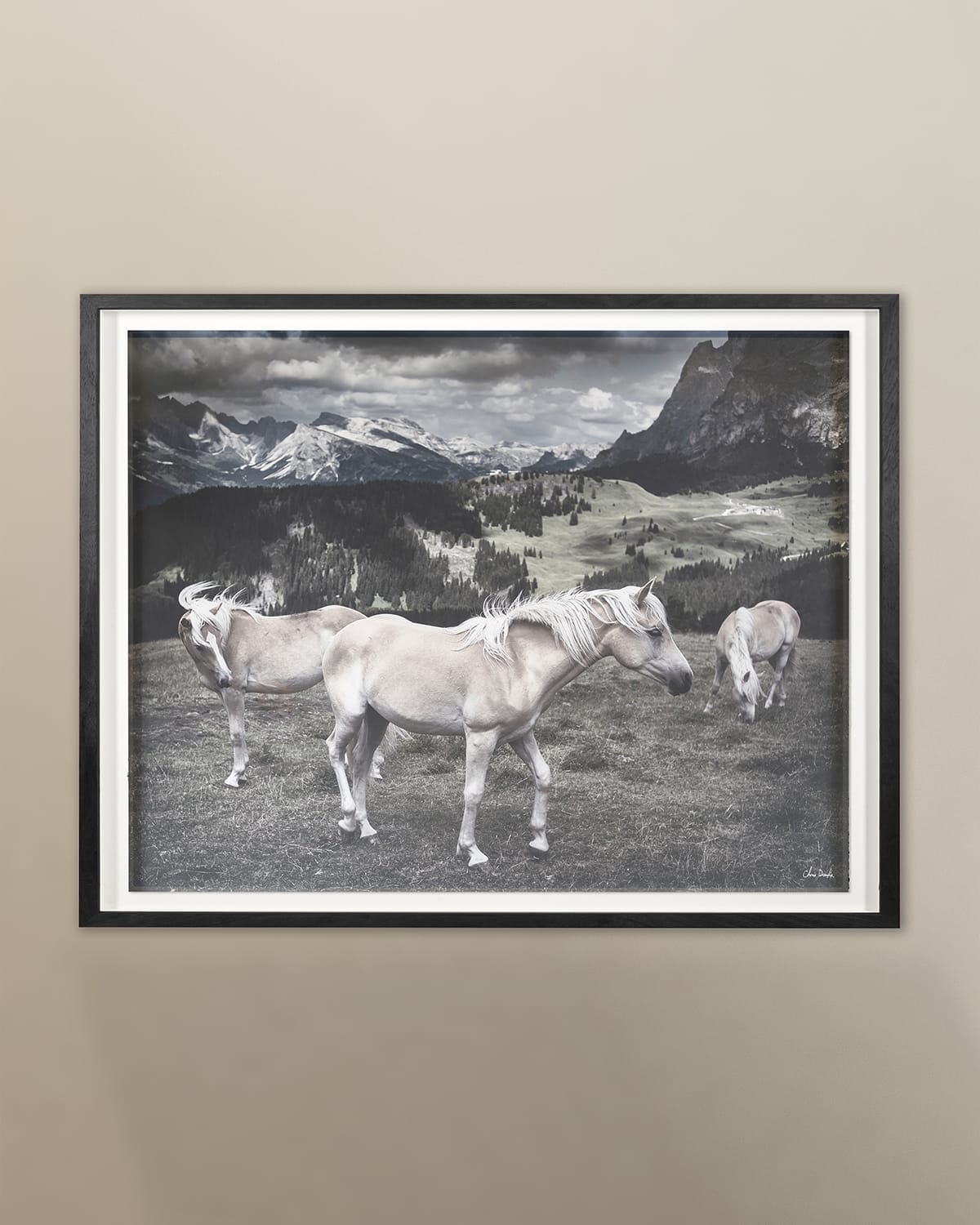 Horses in Europe Archival Digital Print by Chris Dunker