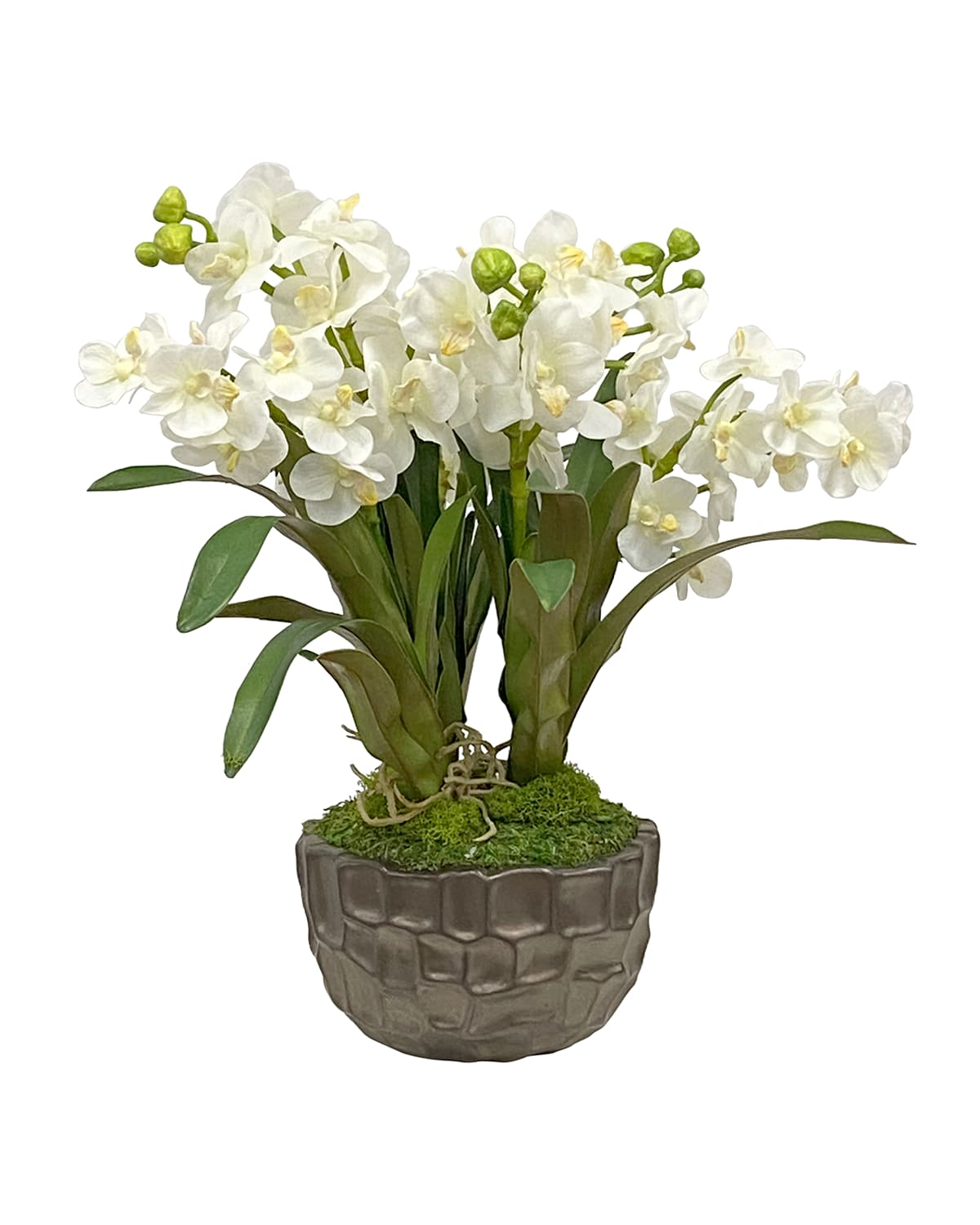 Shop Winward Home Vanda Orchid In Bowl In White