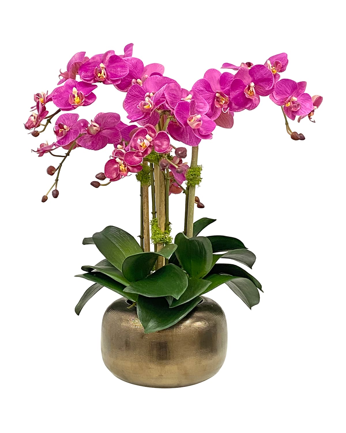 Shop Winward Home Orchid In Artisanal Pot In Fuchsia